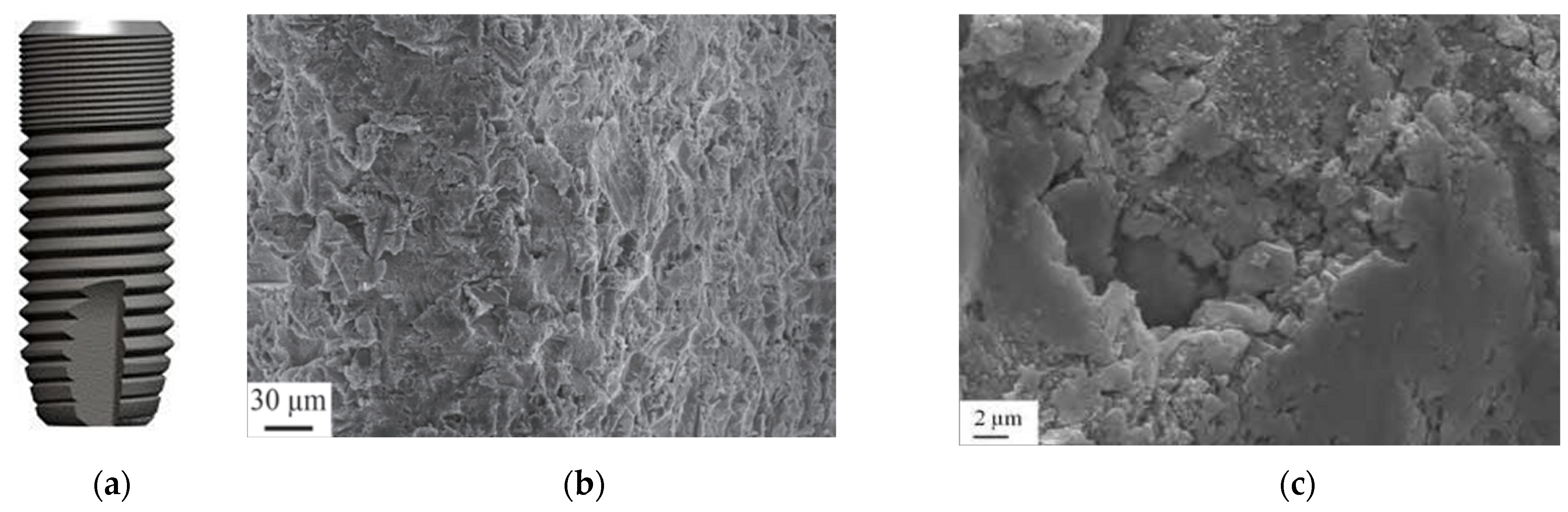 Coatings 15 00109 g012