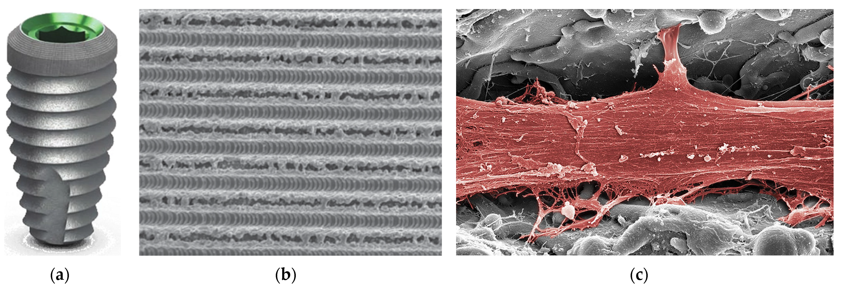 Coatings 15 00109 g015