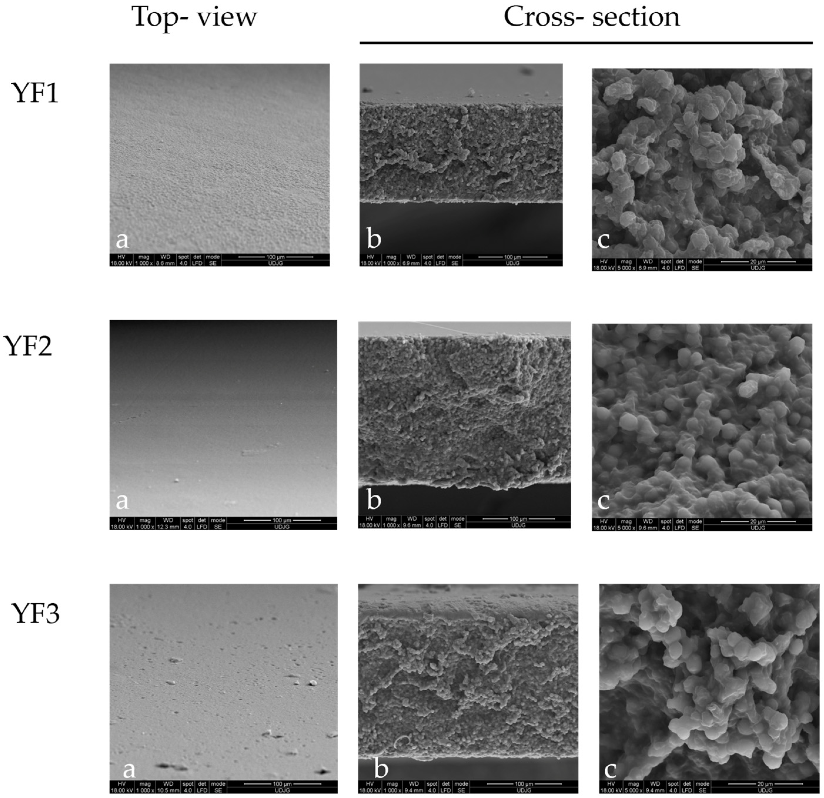 Coatings 15 00118 g003