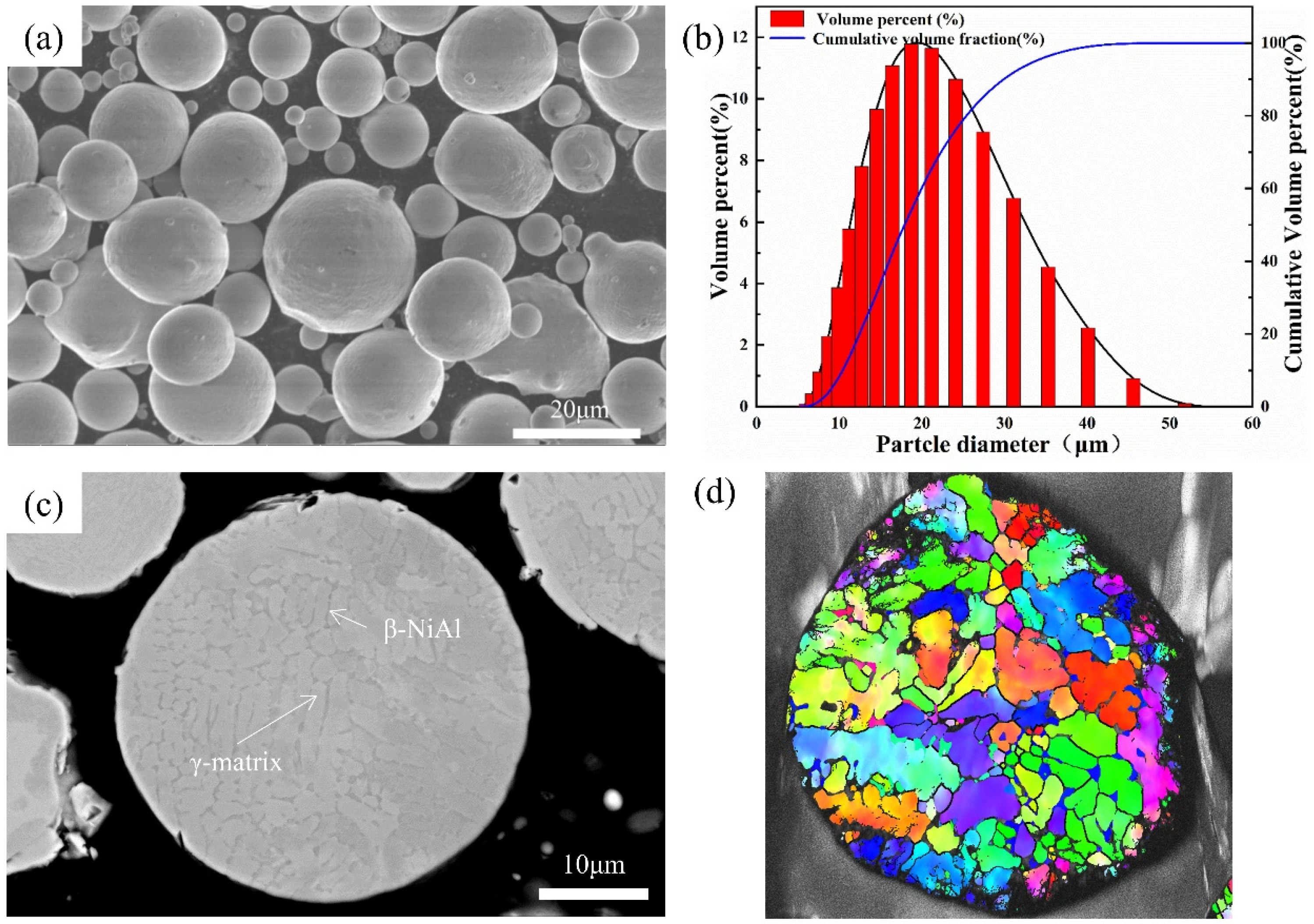 Coatings 15 00123 g001