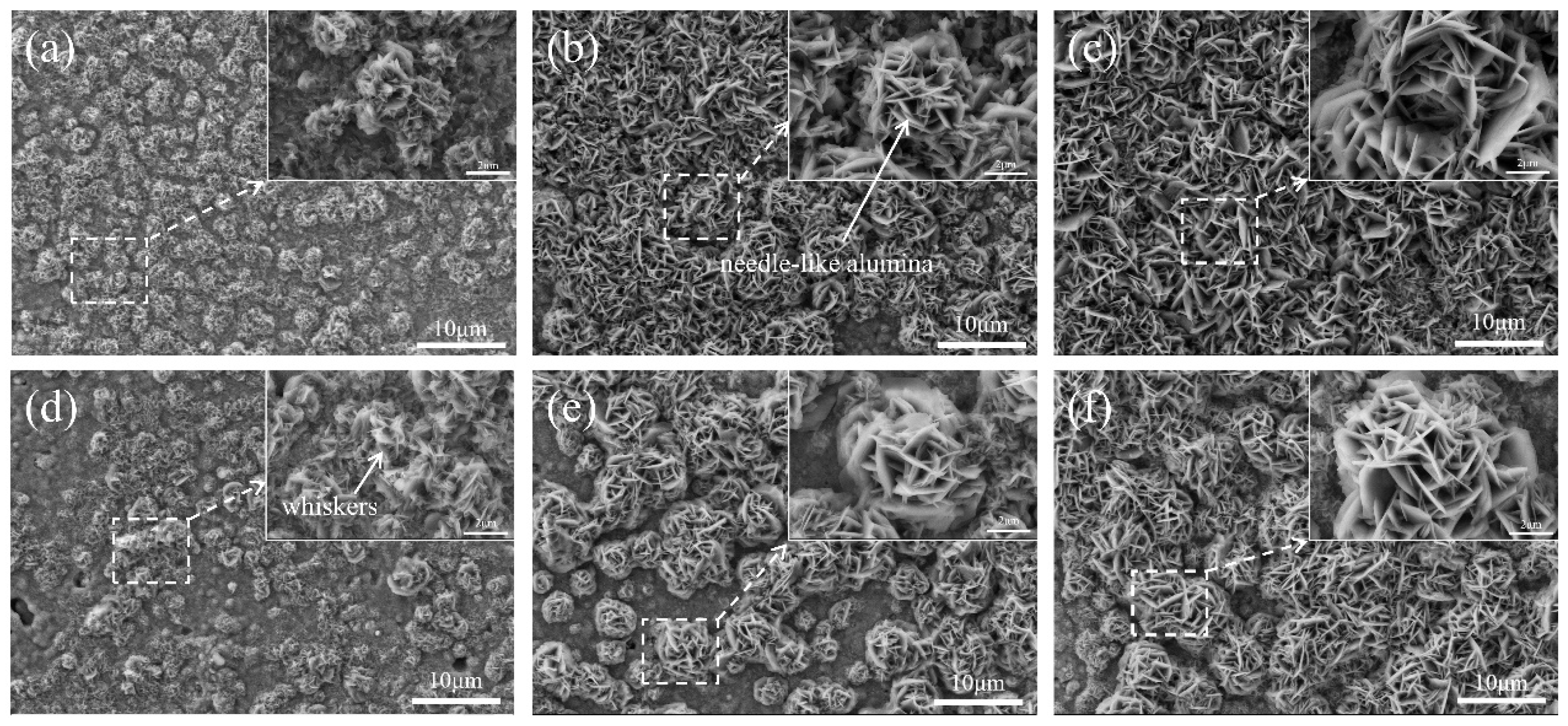 Coatings 15 00123 g007