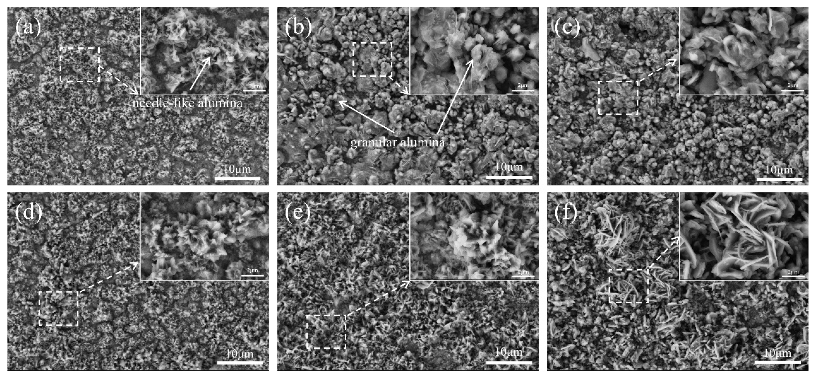 Coatings 15 00123 g010