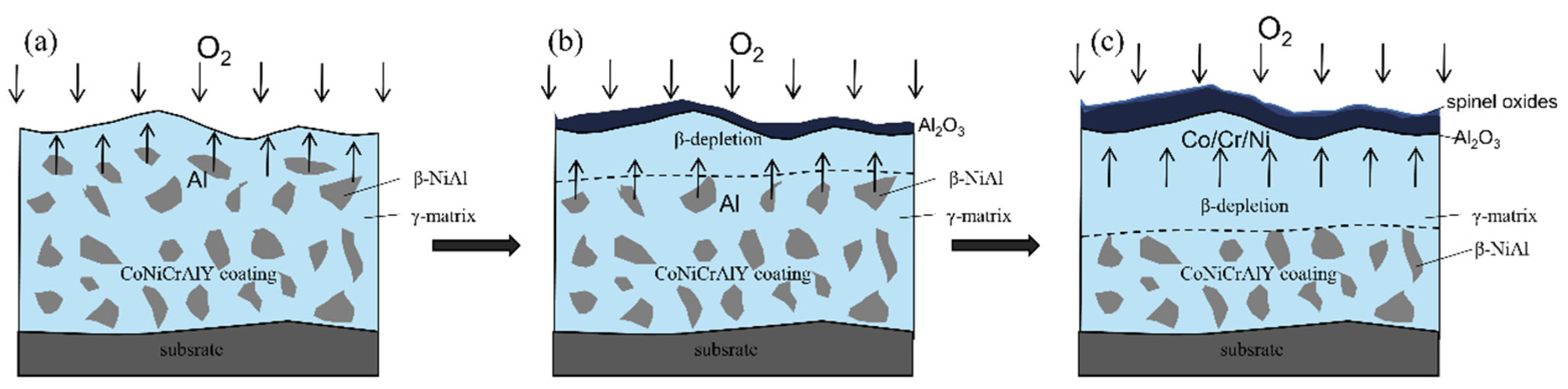 Coatings 15 00123 g016