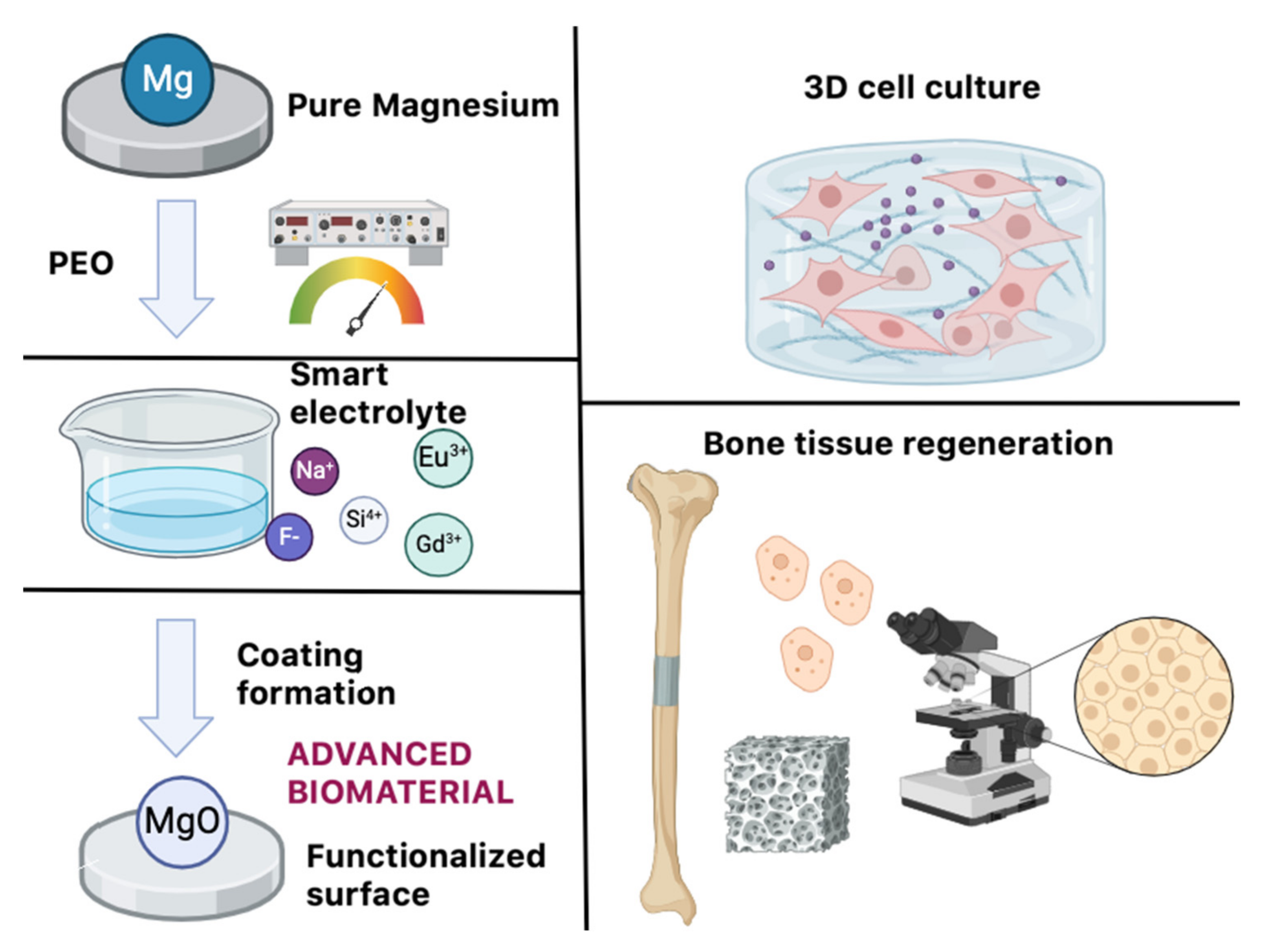 Coatings 15 00124 g003