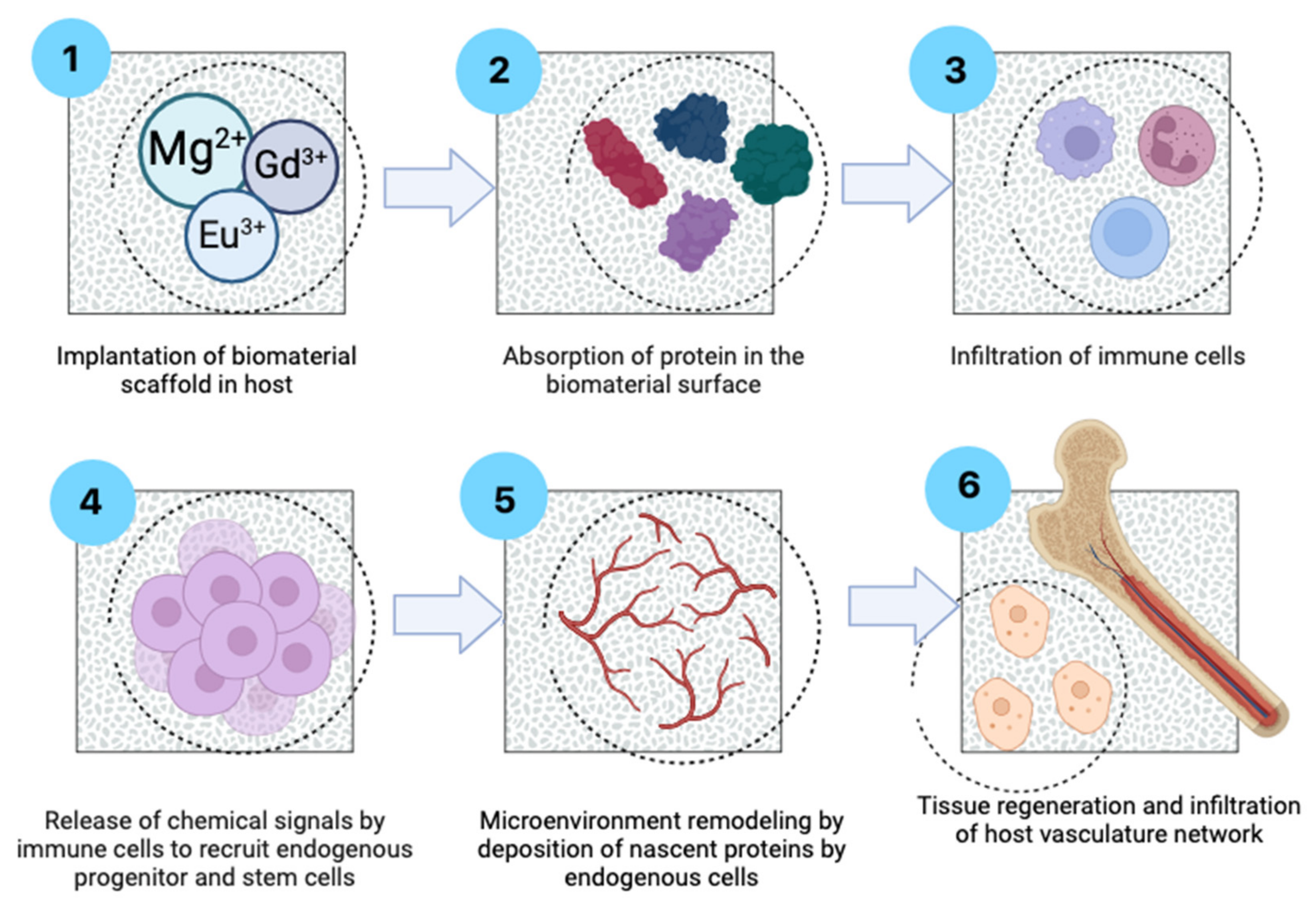 Coatings 15 00124 g006
