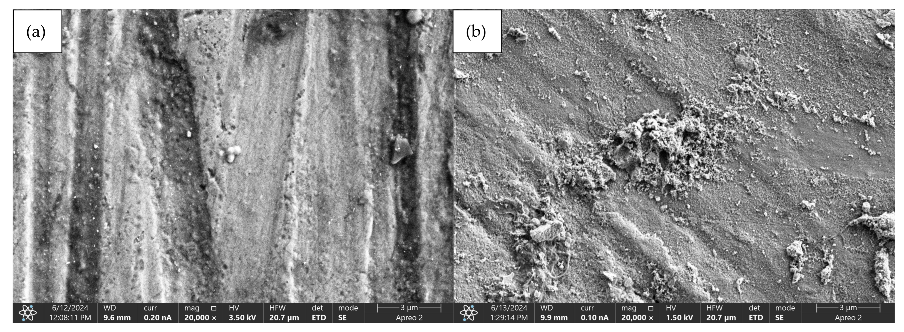 Coatings 15 00124 g007