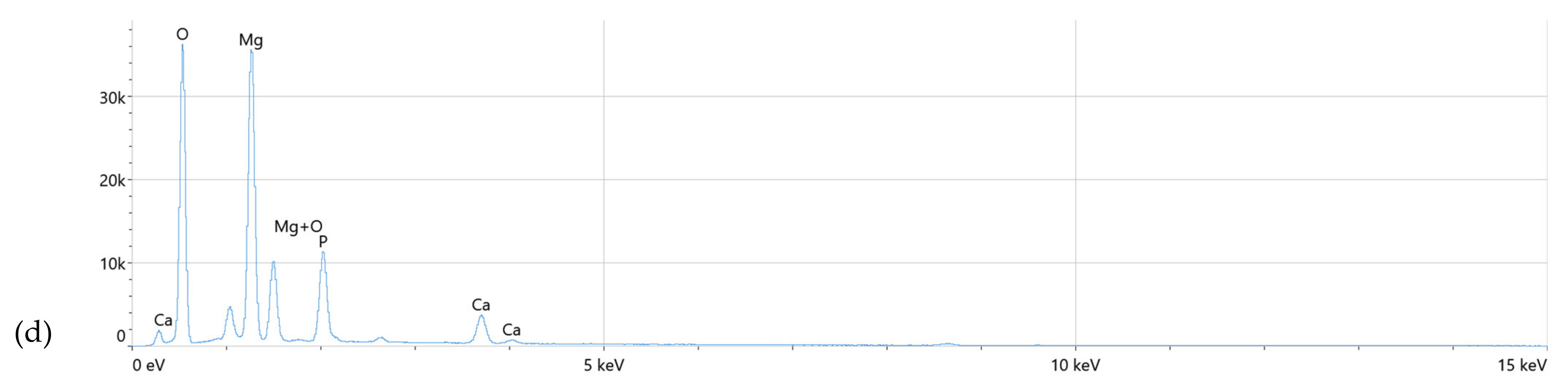 Coatings 15 00124 g008b
