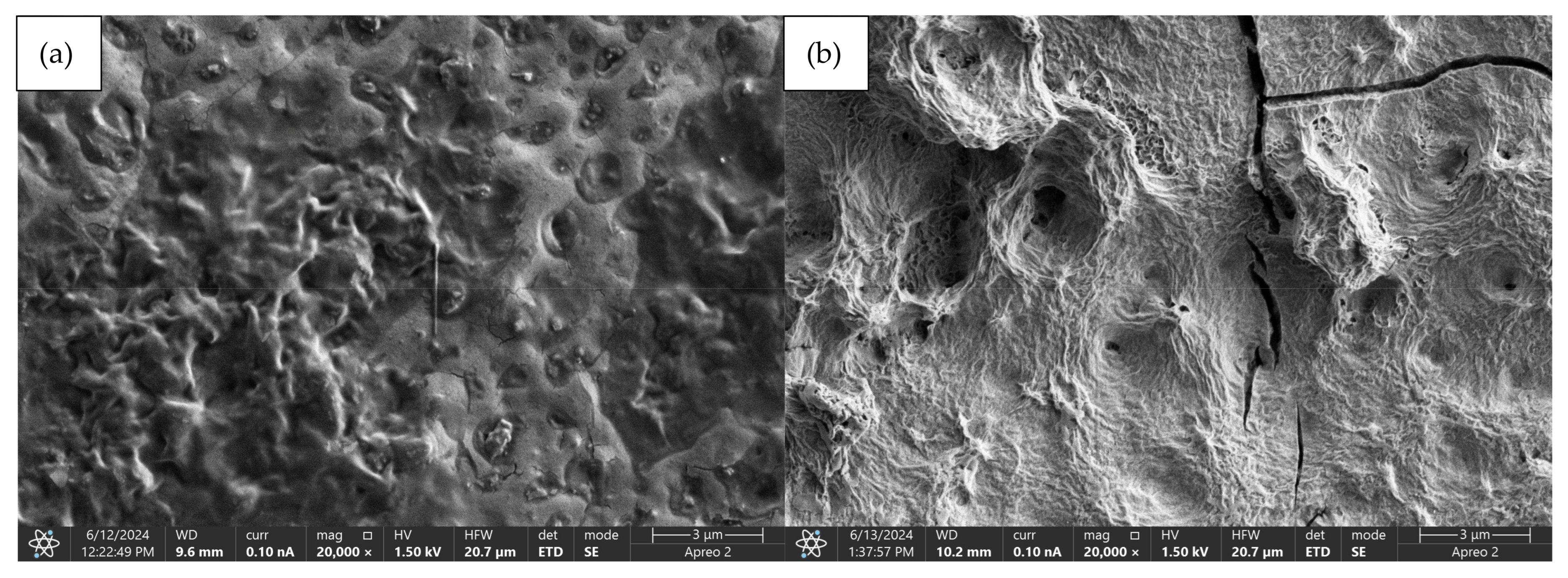 Coatings 15 00124 g009
