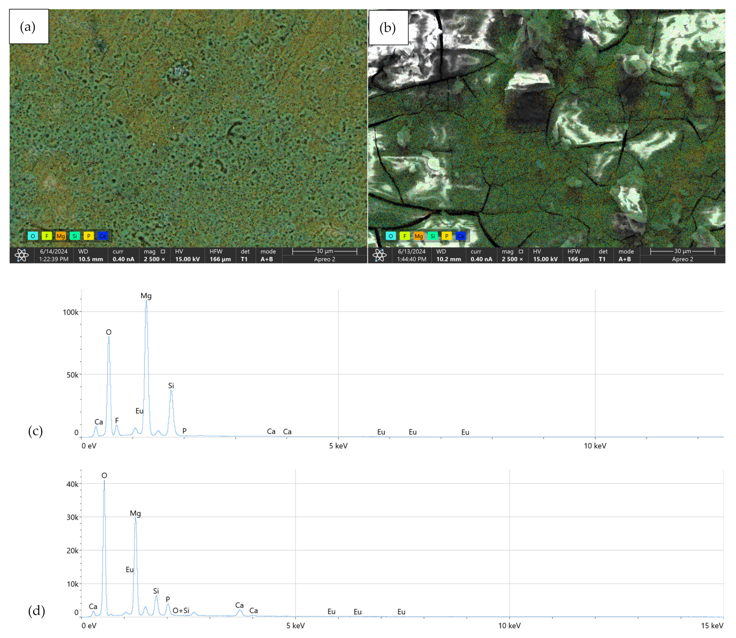 Coatings 15 00124 g010