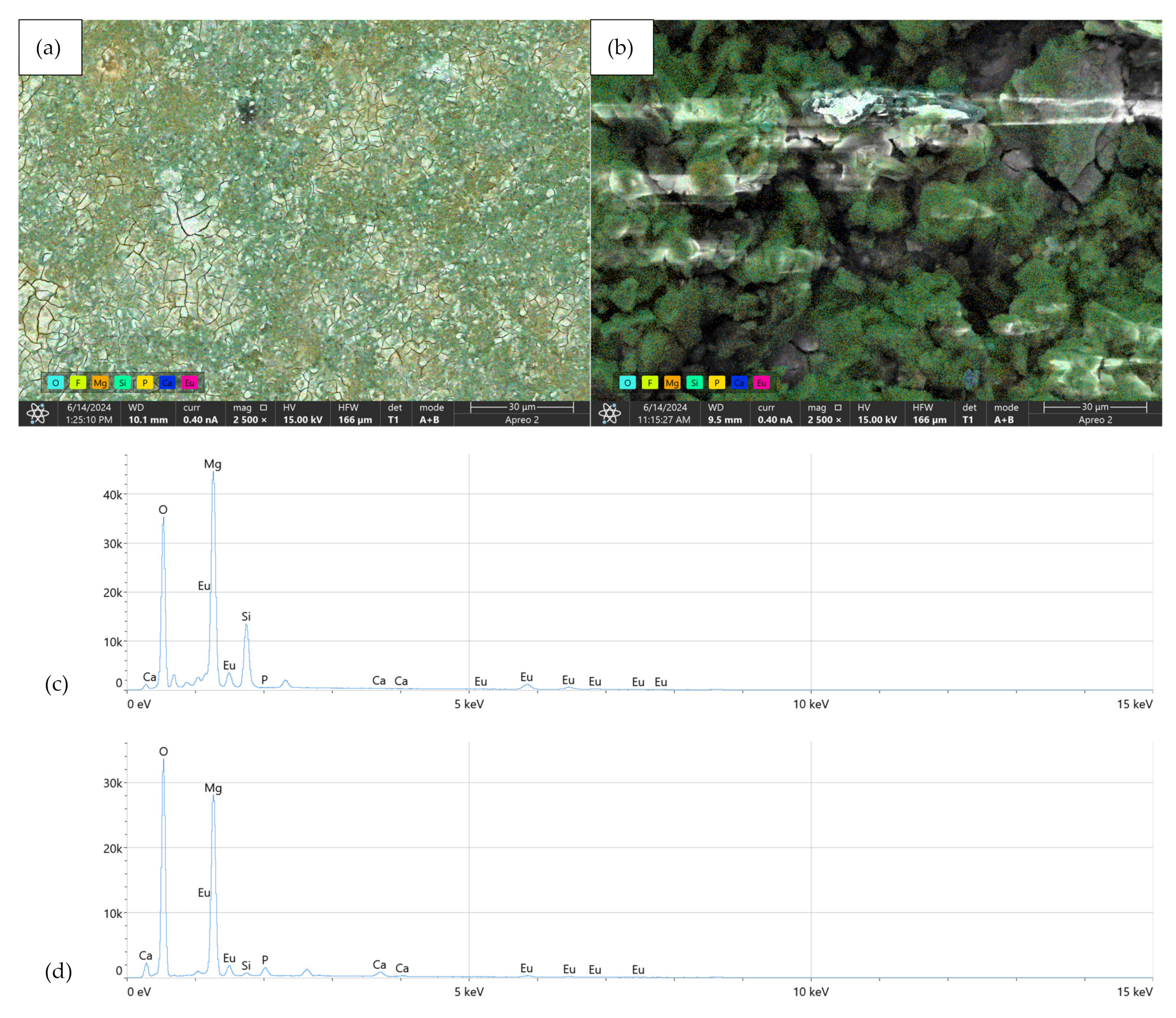 Coatings 15 00124 g012