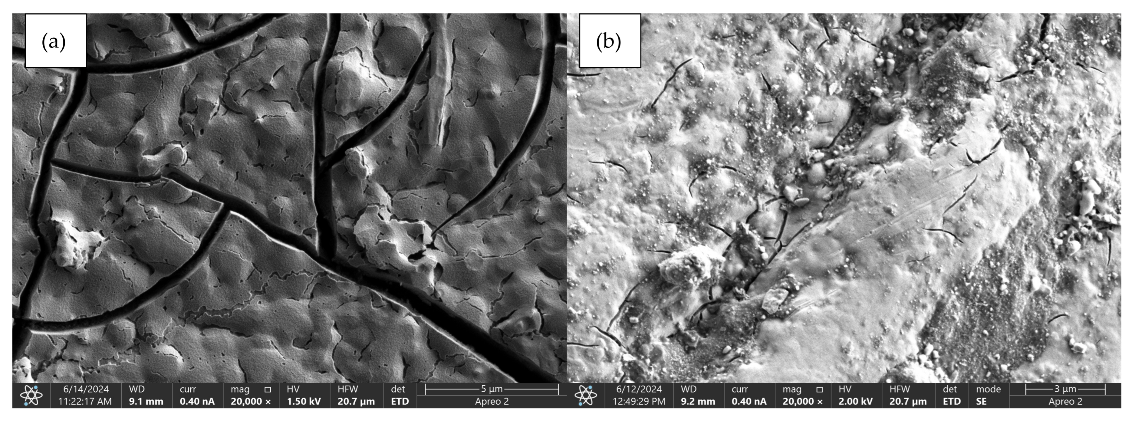Coatings 15 00124 g013