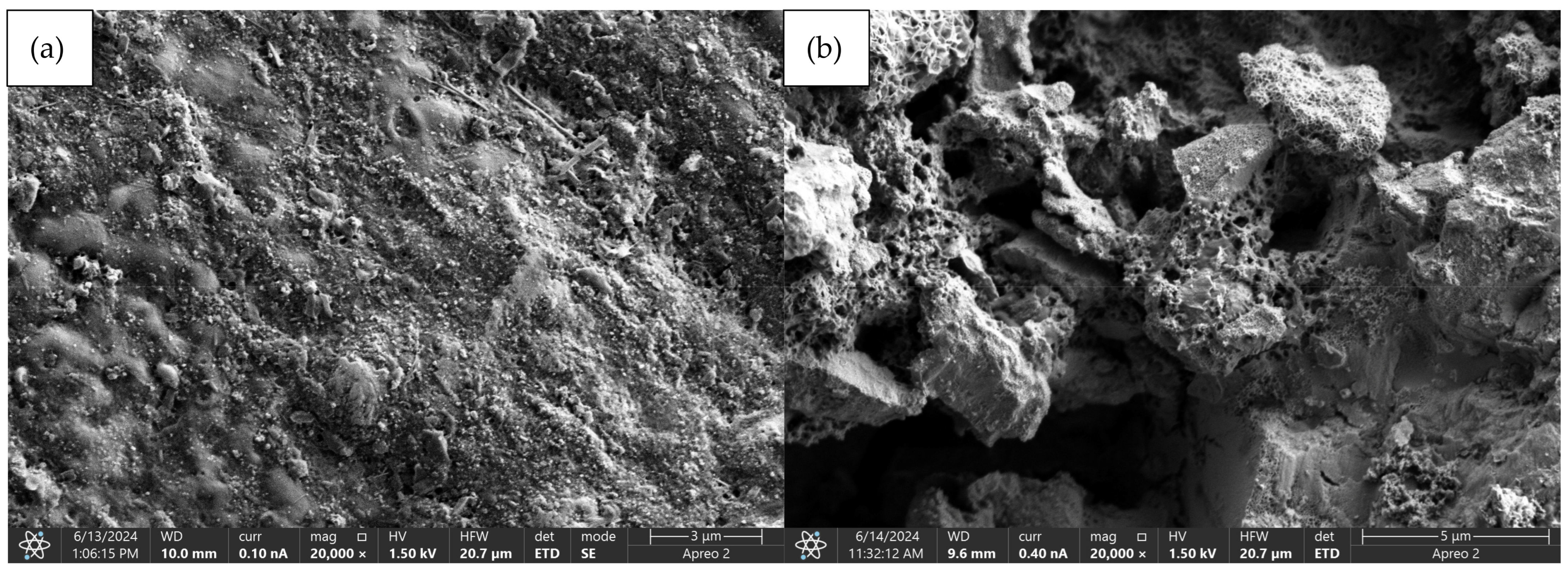 Coatings 15 00124 g015