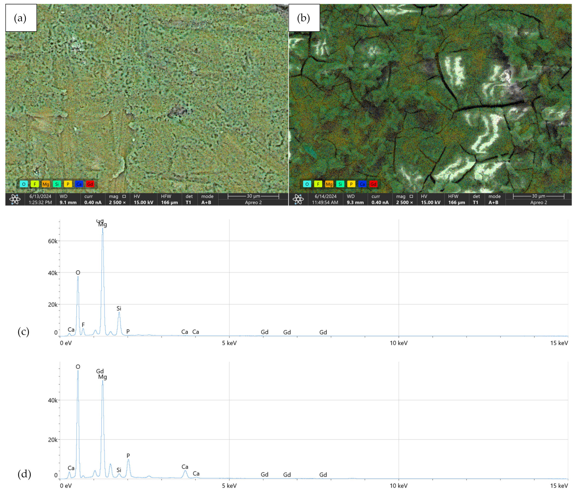 Coatings 15 00124 g018
