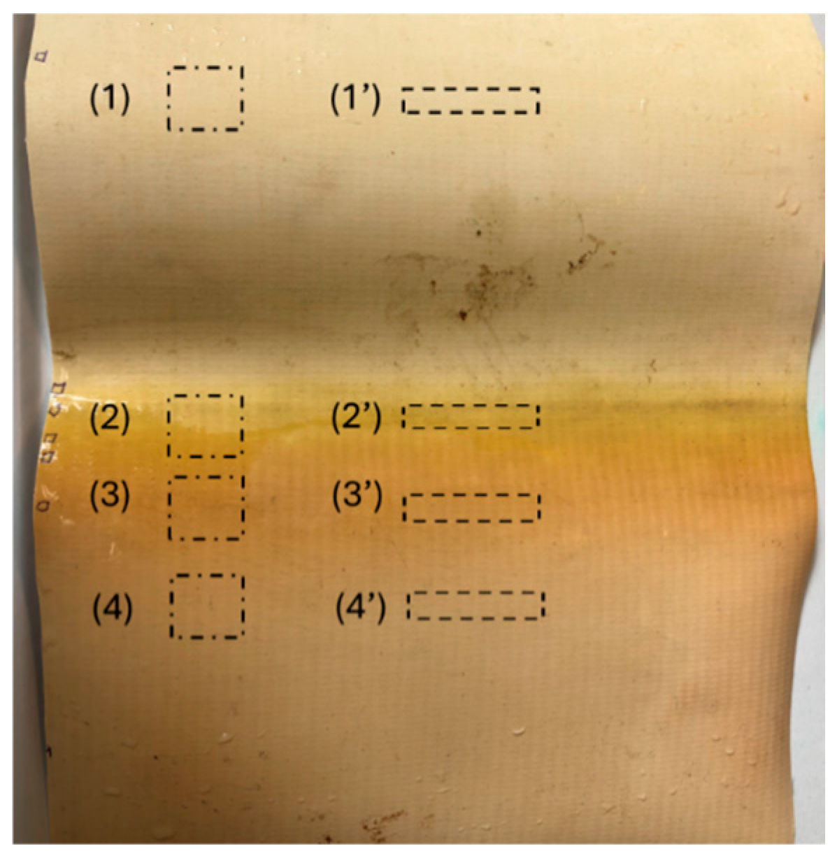 Coatings 15 00125 g002