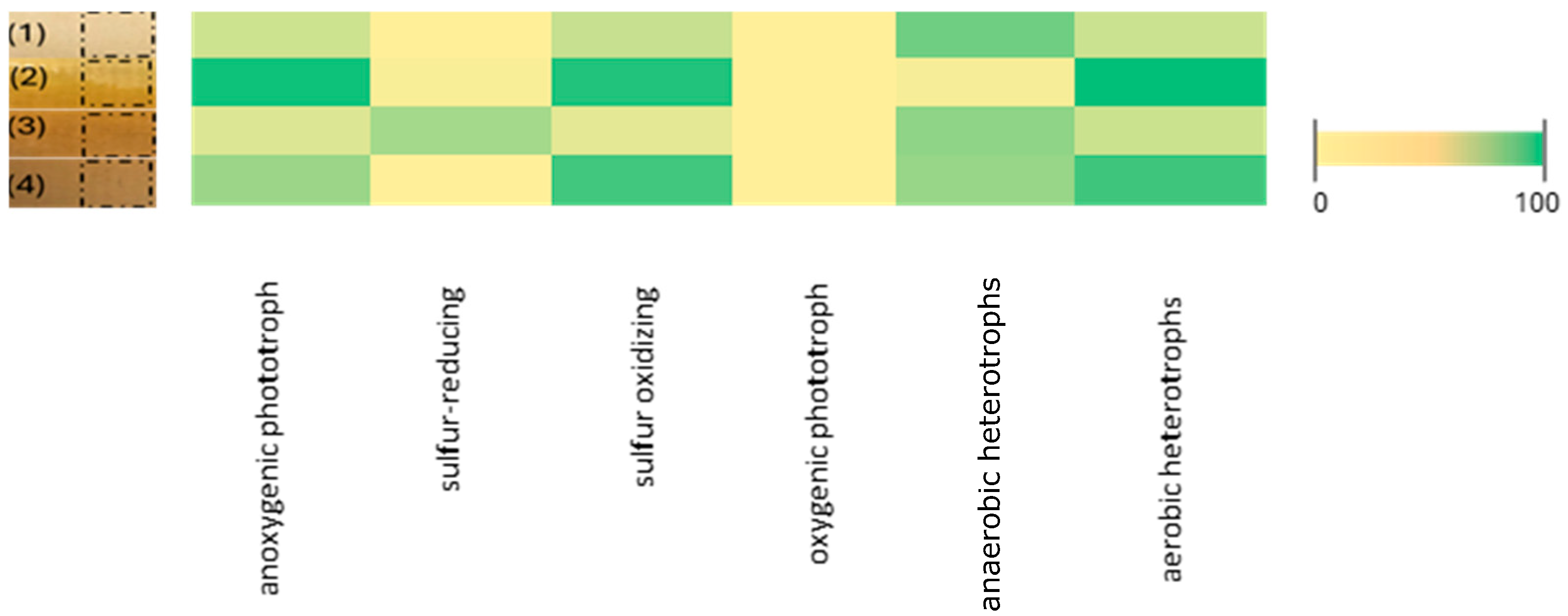 Coatings 15 00125 g007
