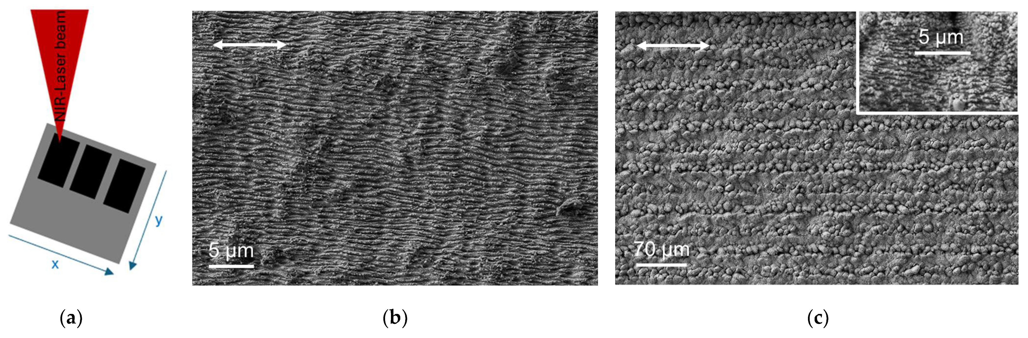 Coatings 15 00127 g001