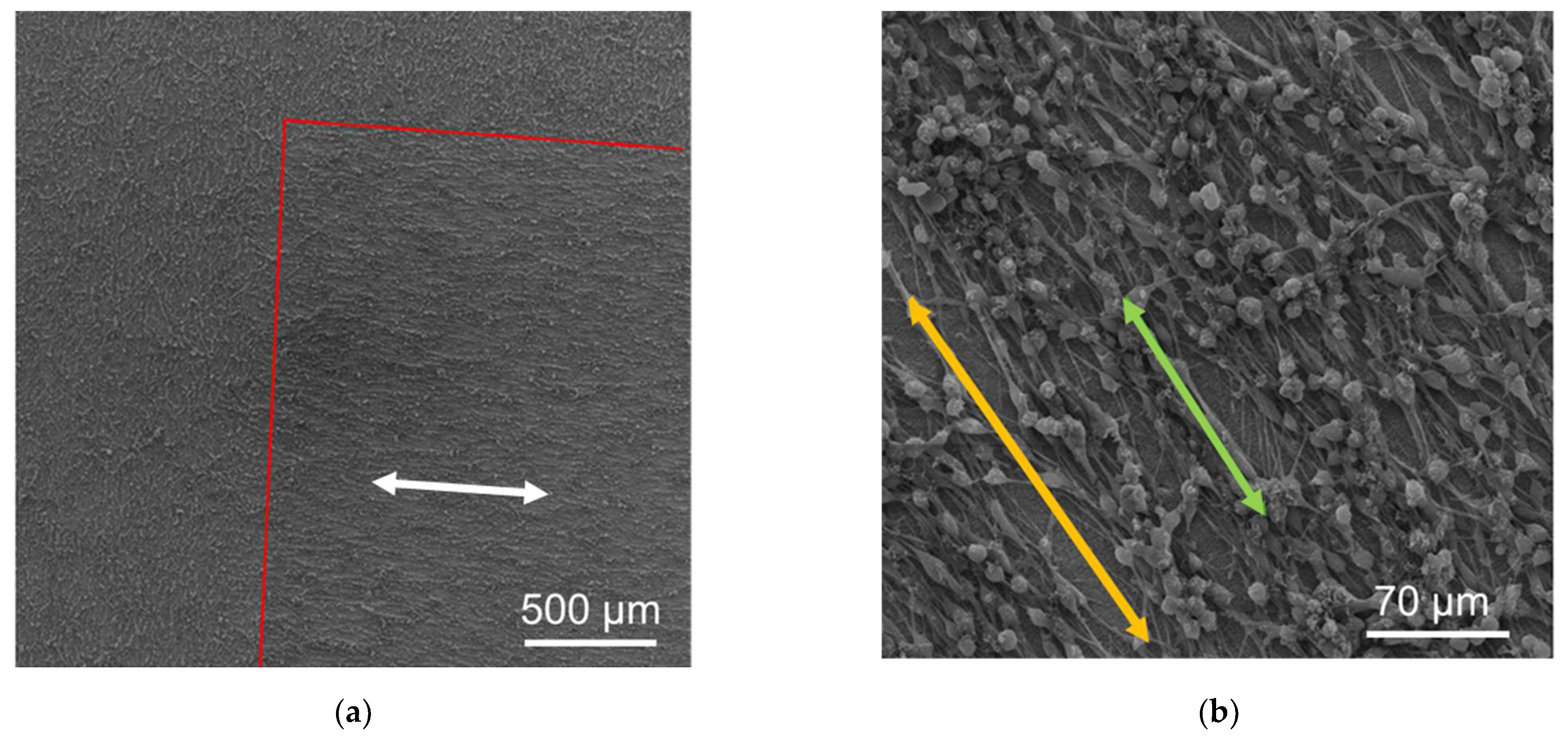 Coatings 15 00127 g002