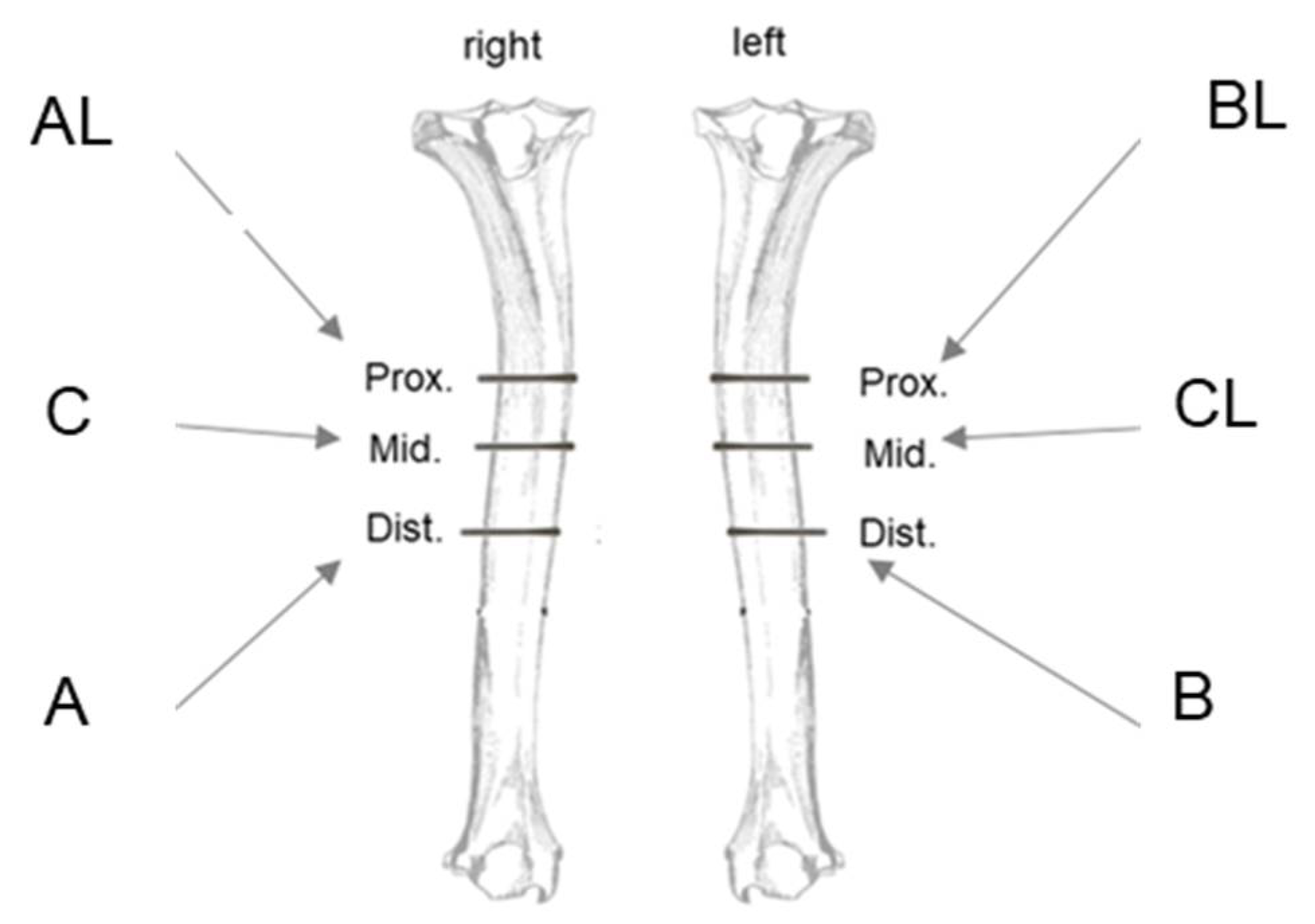 Coatings 15 00127 g0a1