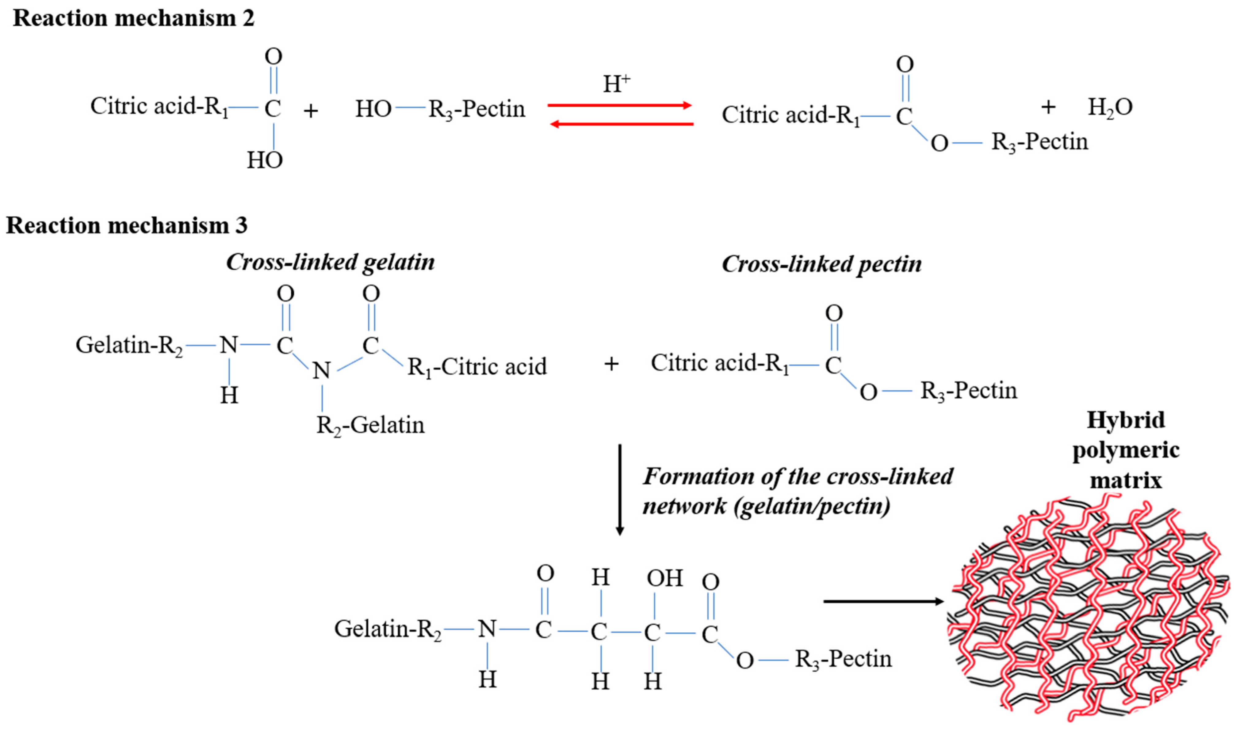 Coatings 15 00129 g003