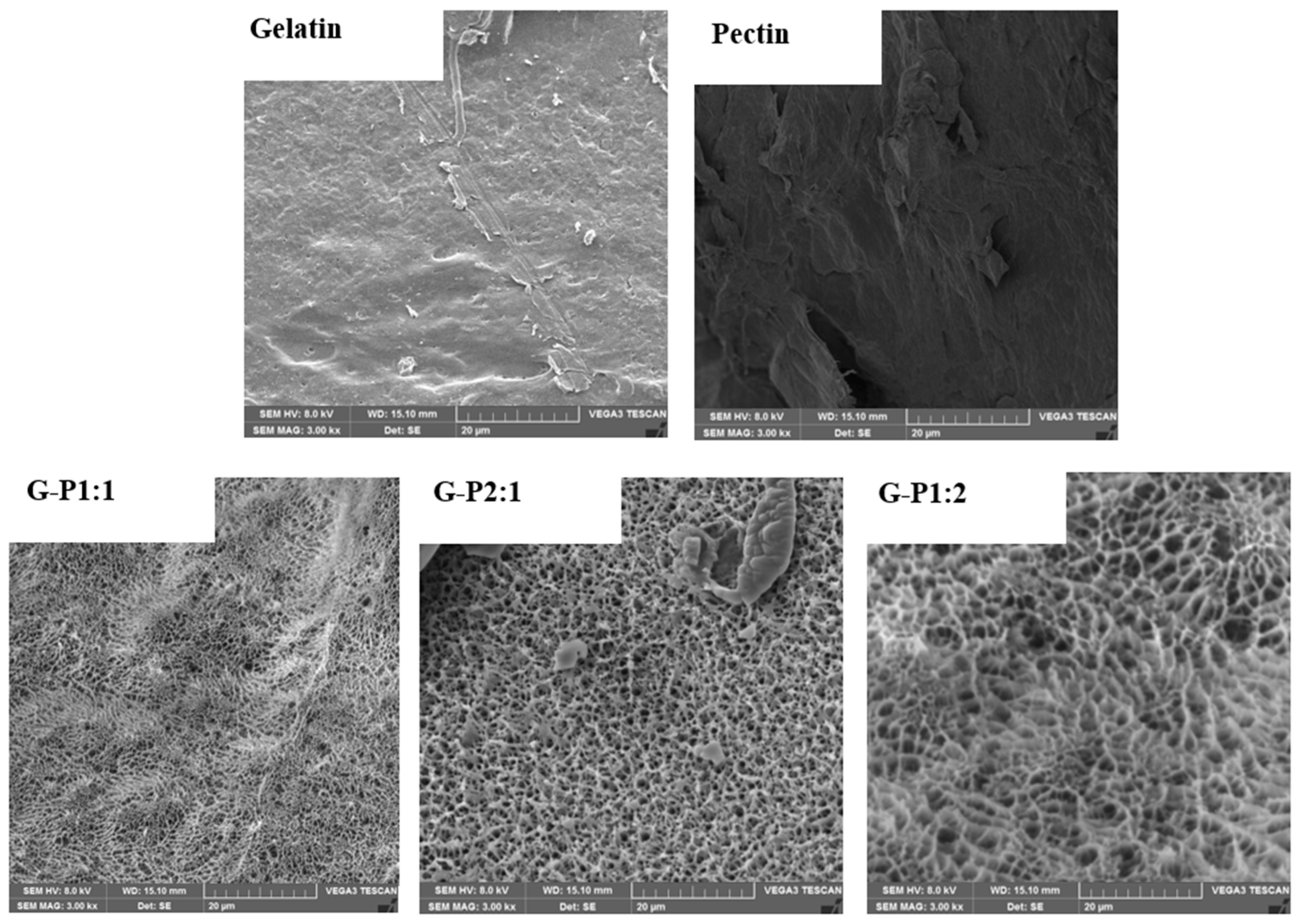 Coatings 15 00129 g004
