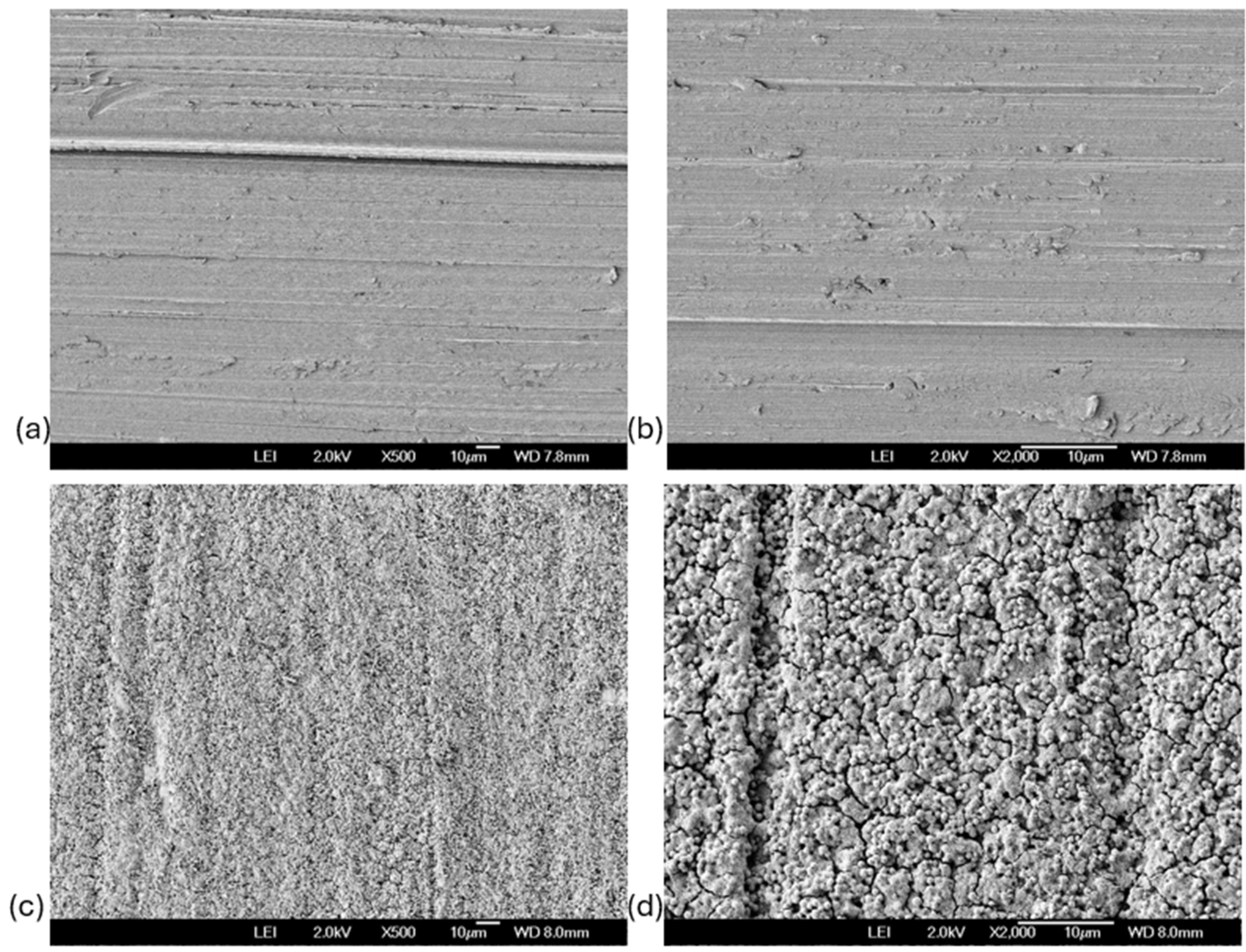 Coatings 15 00131 g001