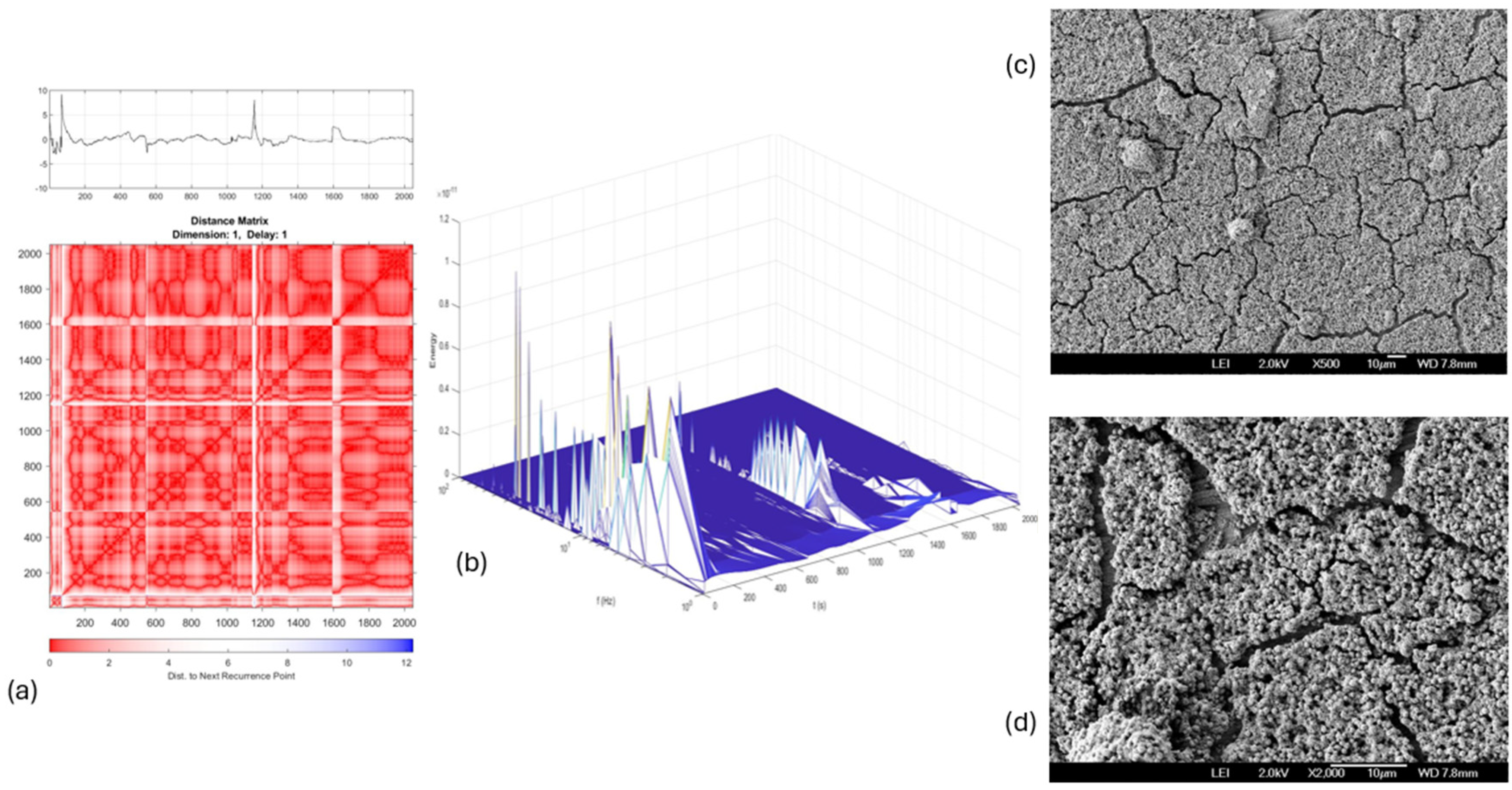 Coatings 15 00131 g012