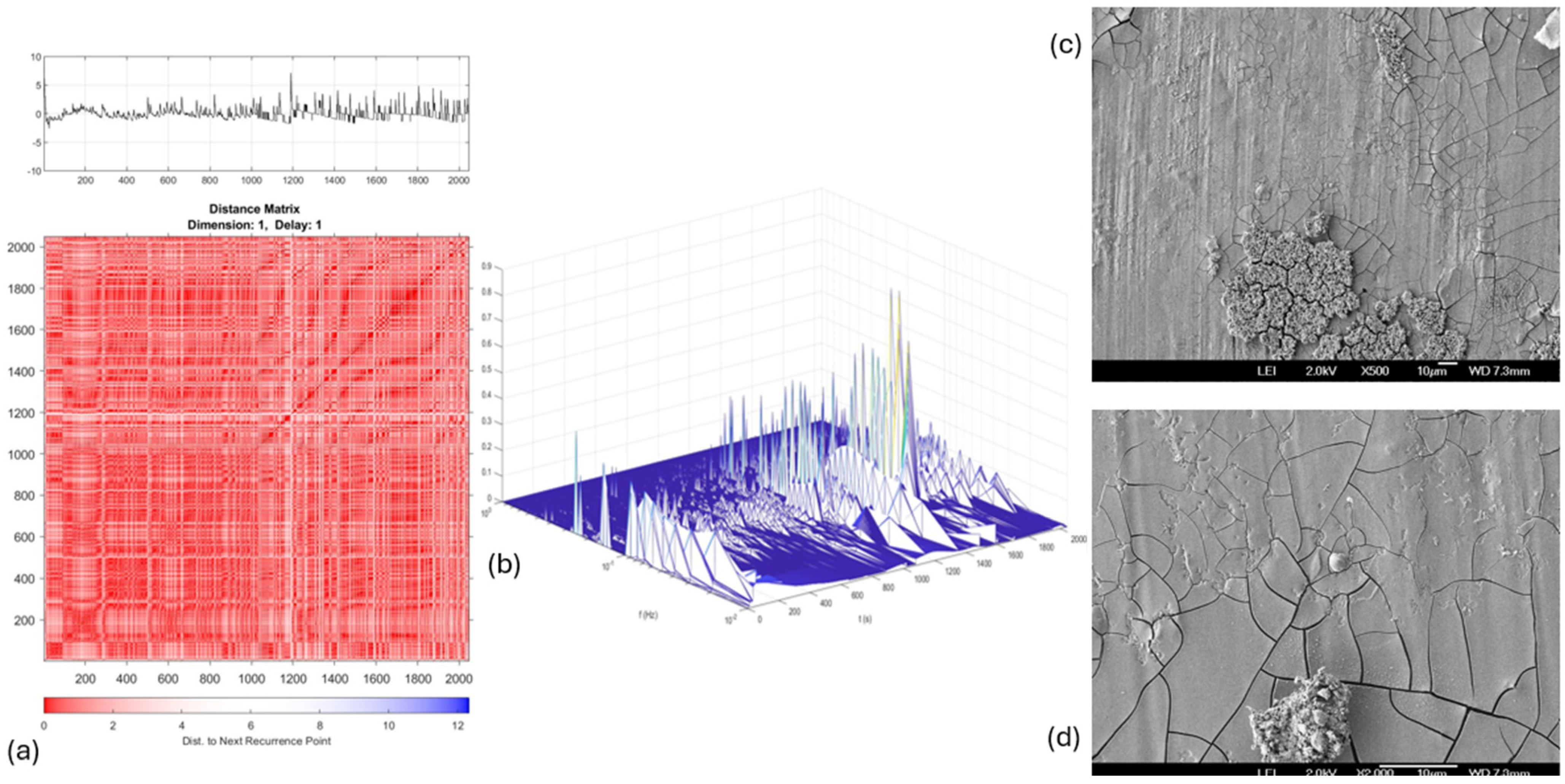 Coatings 15 00131 g014