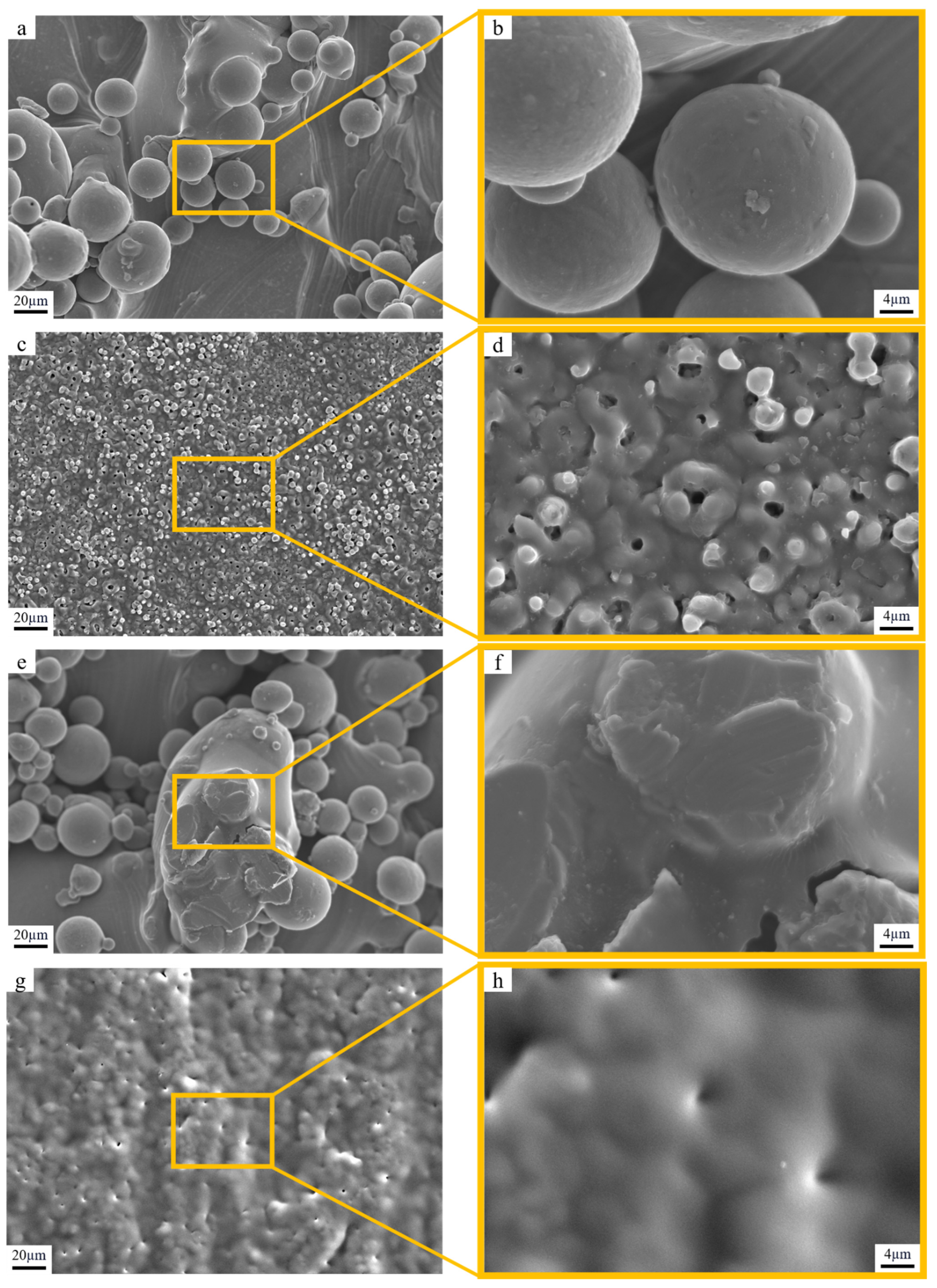 Coatings 15 00137 g002