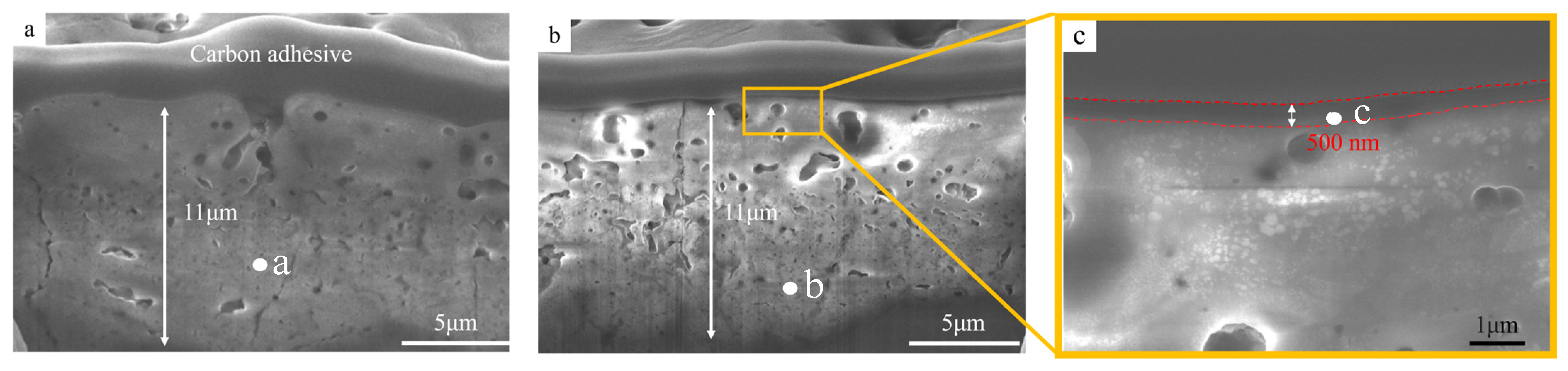 Coatings 15 00137 g003