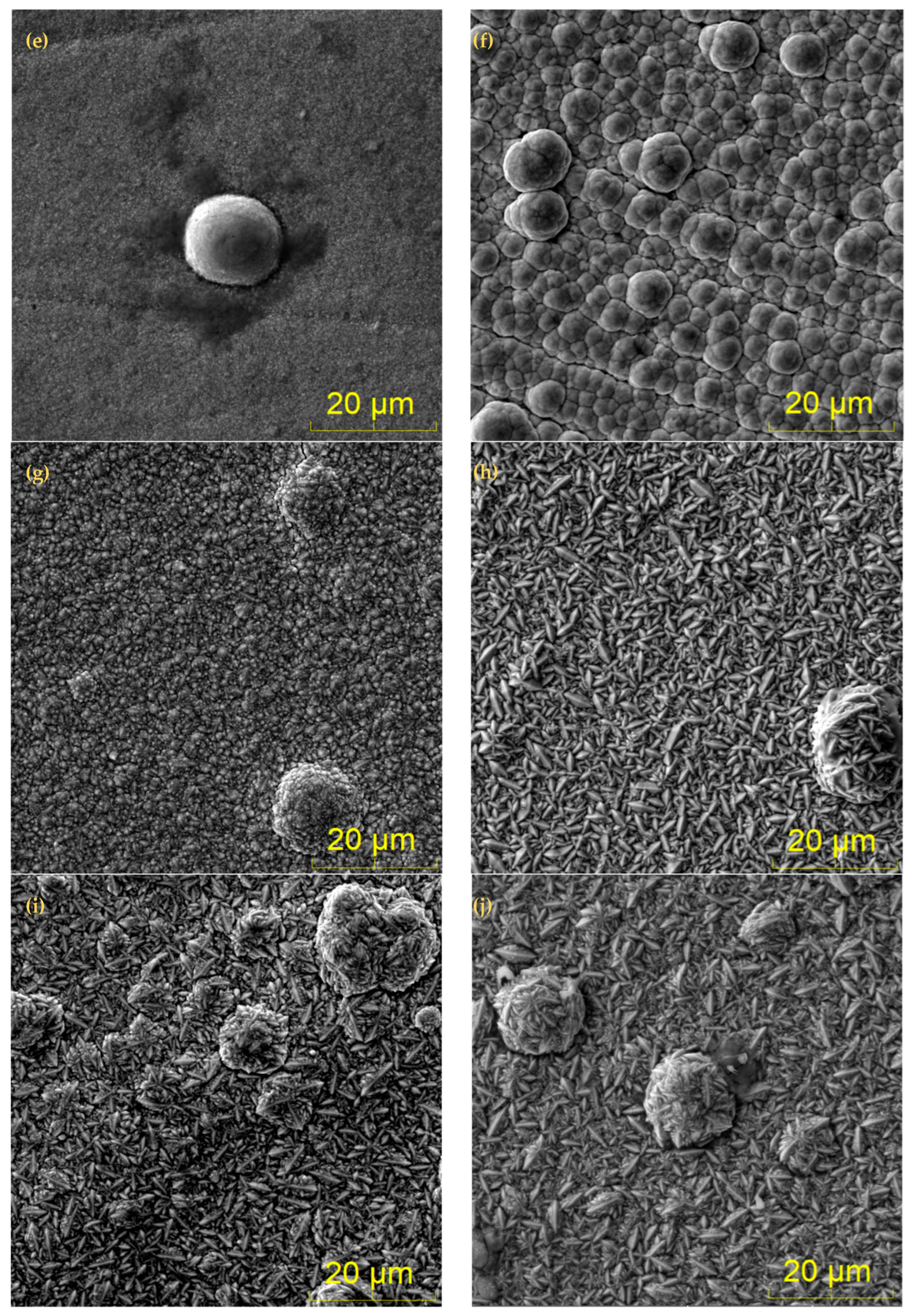 Coatings 15 00138 g003b