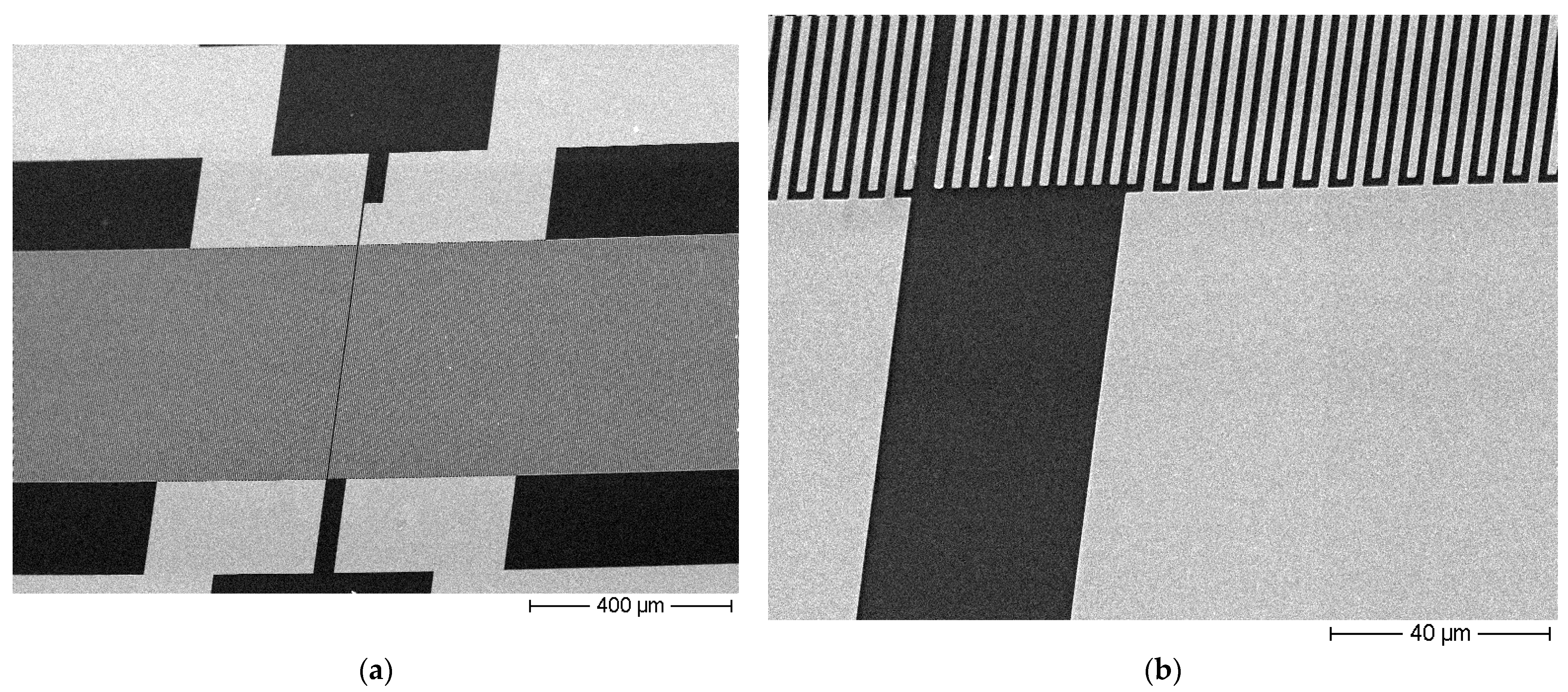 Coatings 15 00139 g006a Coatings 15 00139 g006a