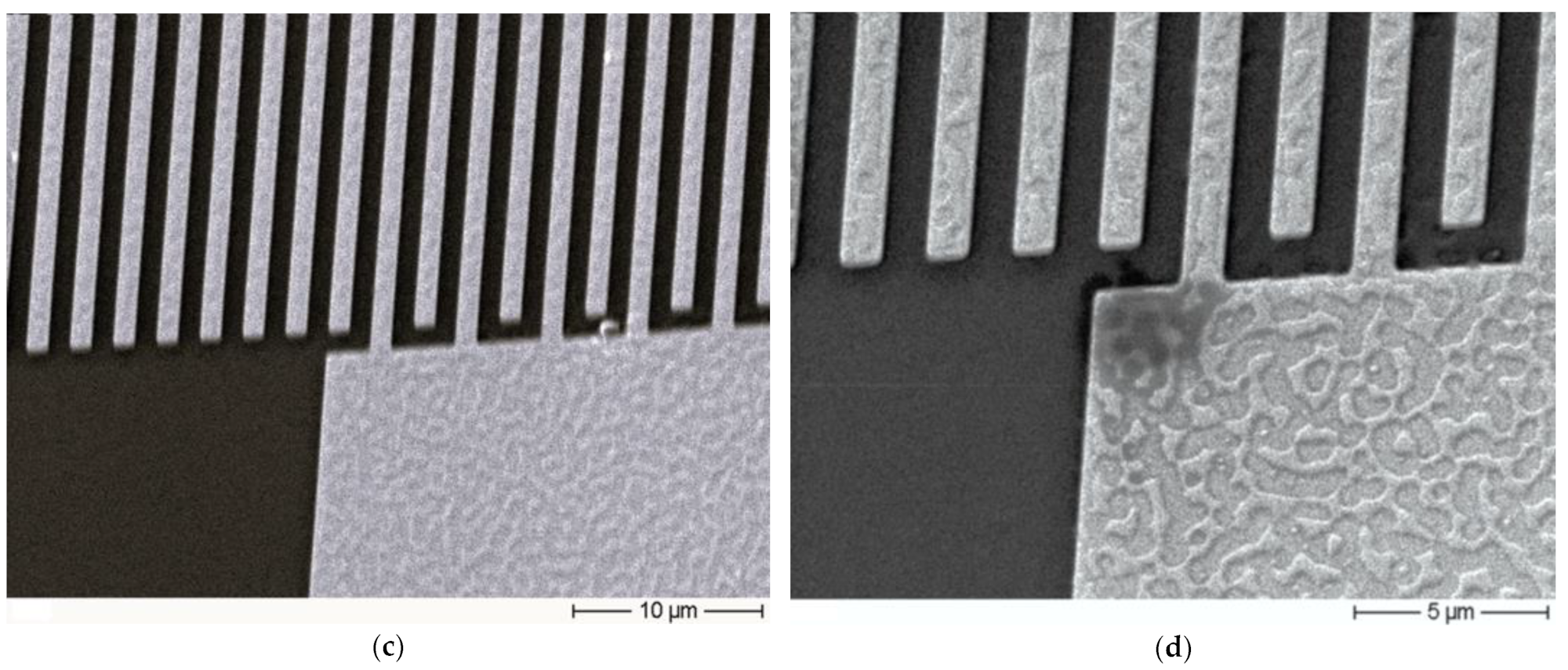 Coatings 15 00139 g010b Coatings 15 00139 g010b
