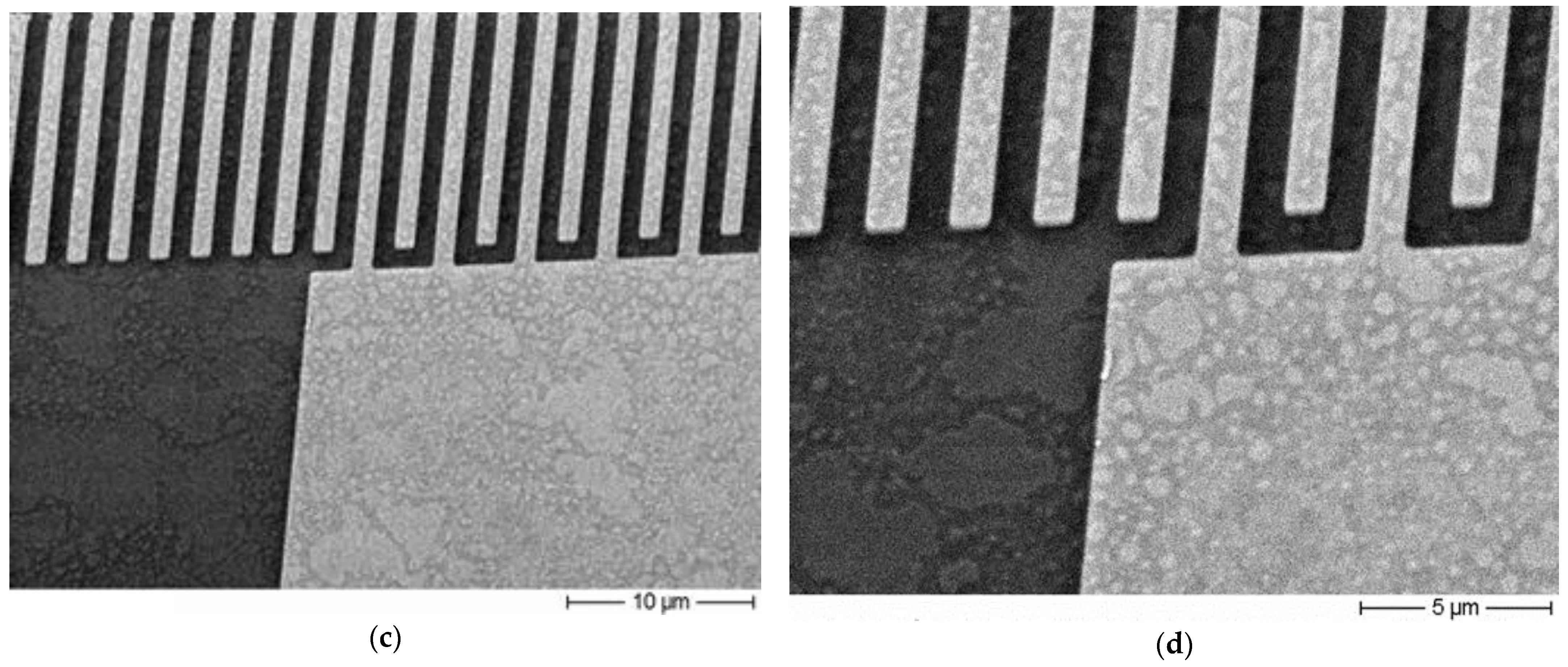 Coatings 15 00139 g012b Coatings 15 00139 g012b