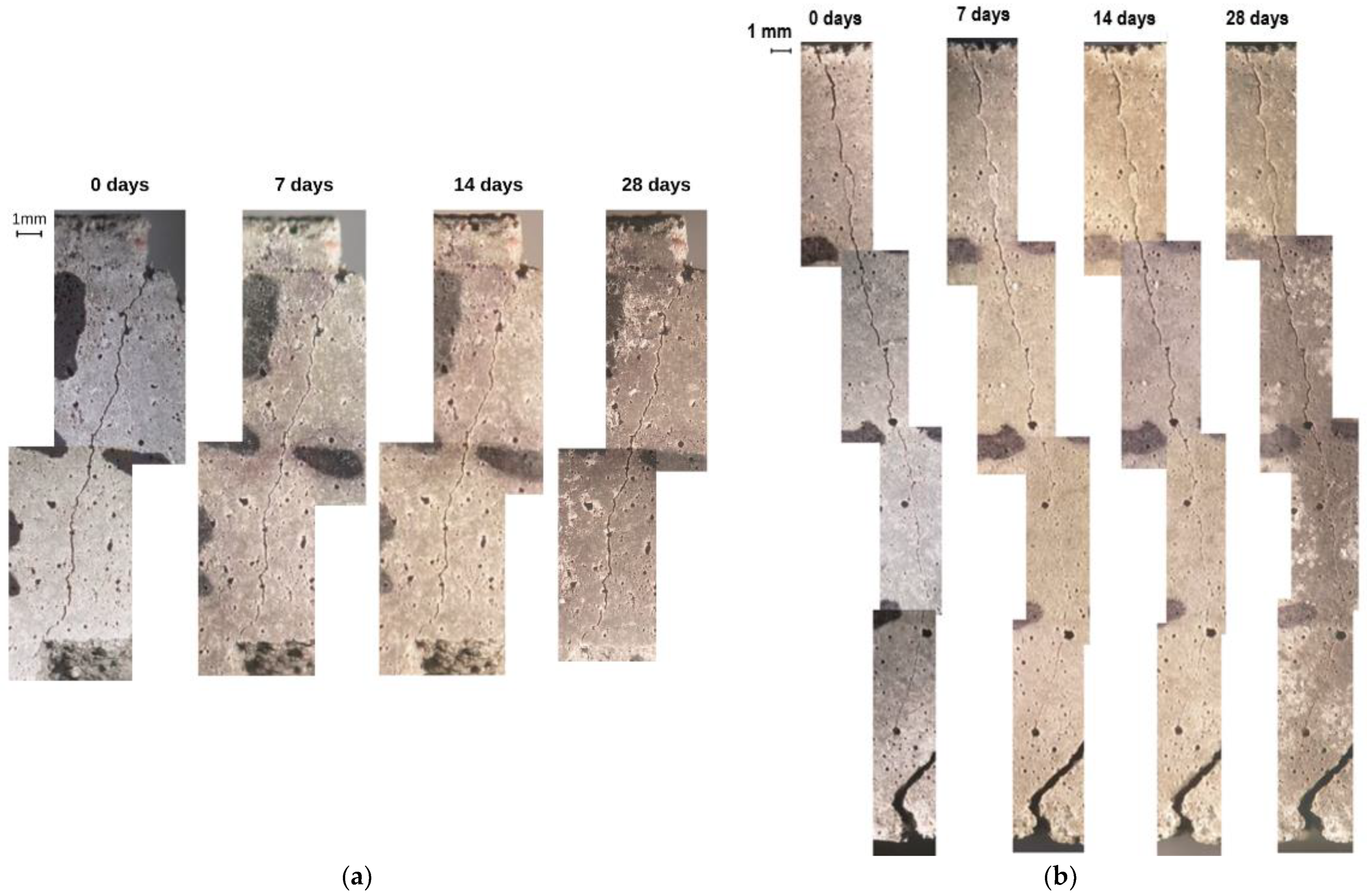Coatings 15 00152 g003