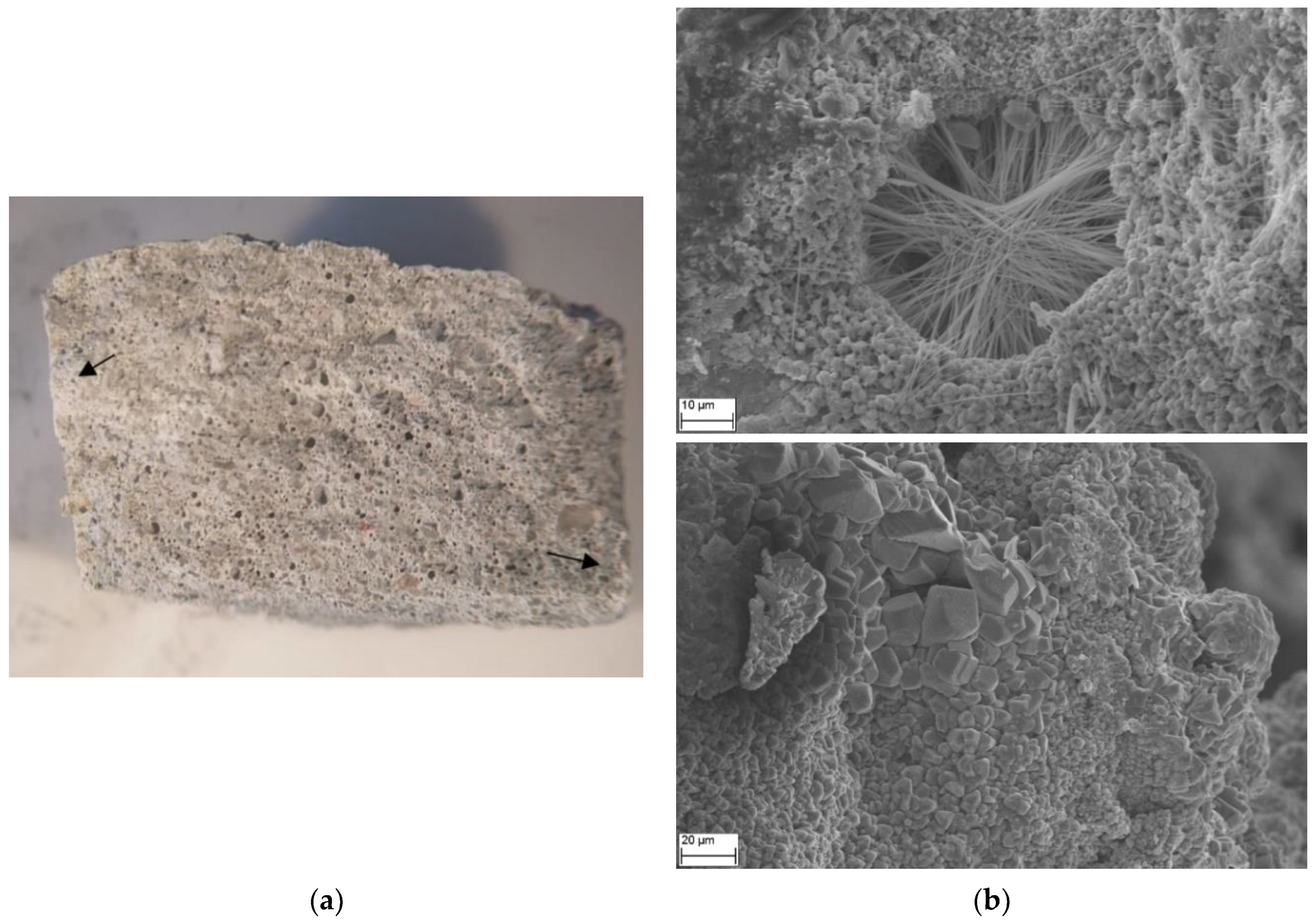 Coatings 15 00152 g009
