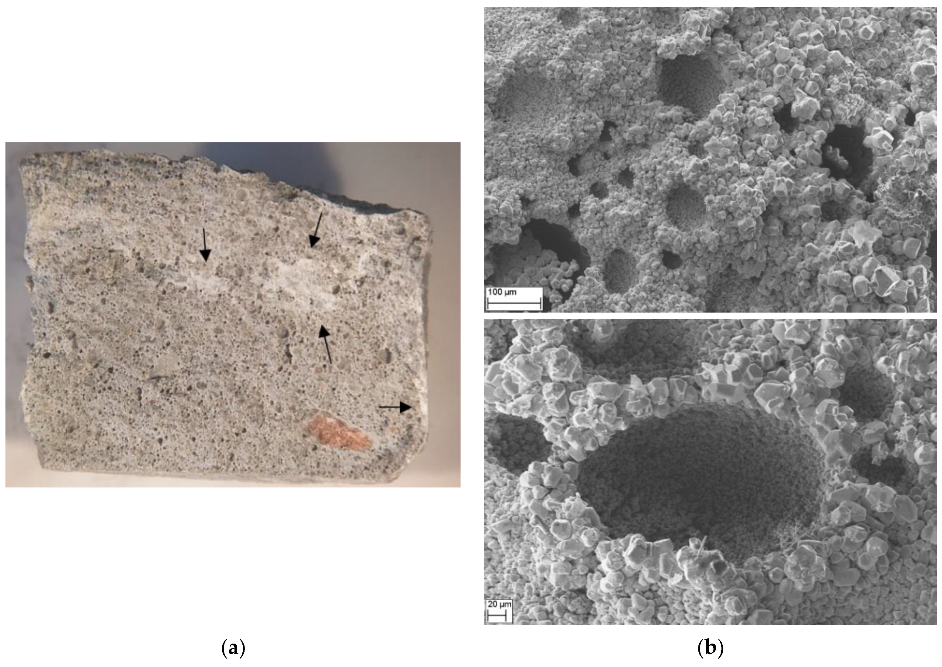 Coatings 15 00152 g012