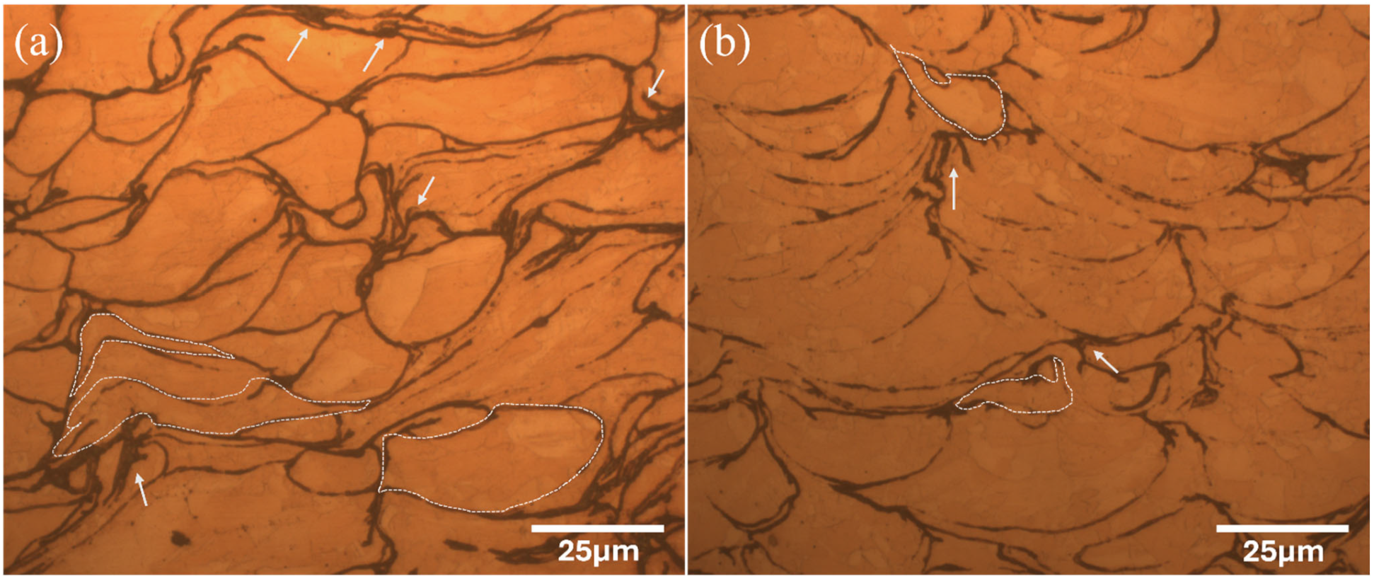 Coatings 15 00153 g011