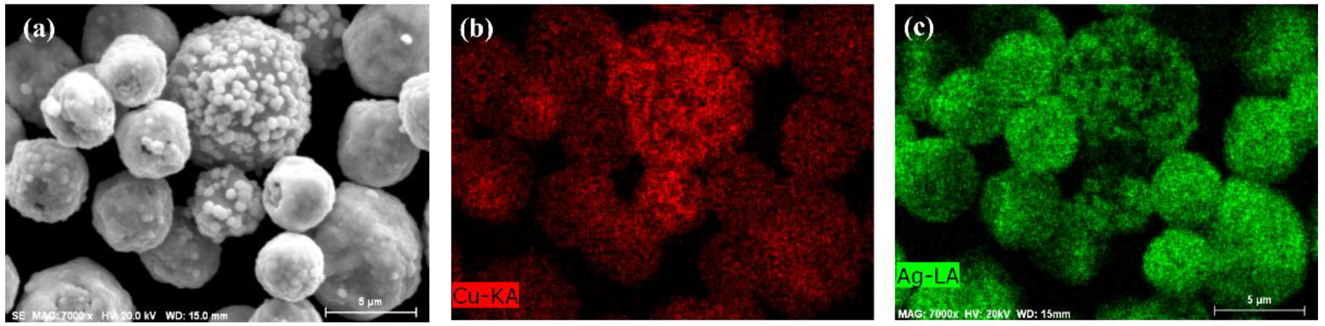 Coatings 15 00154 g002