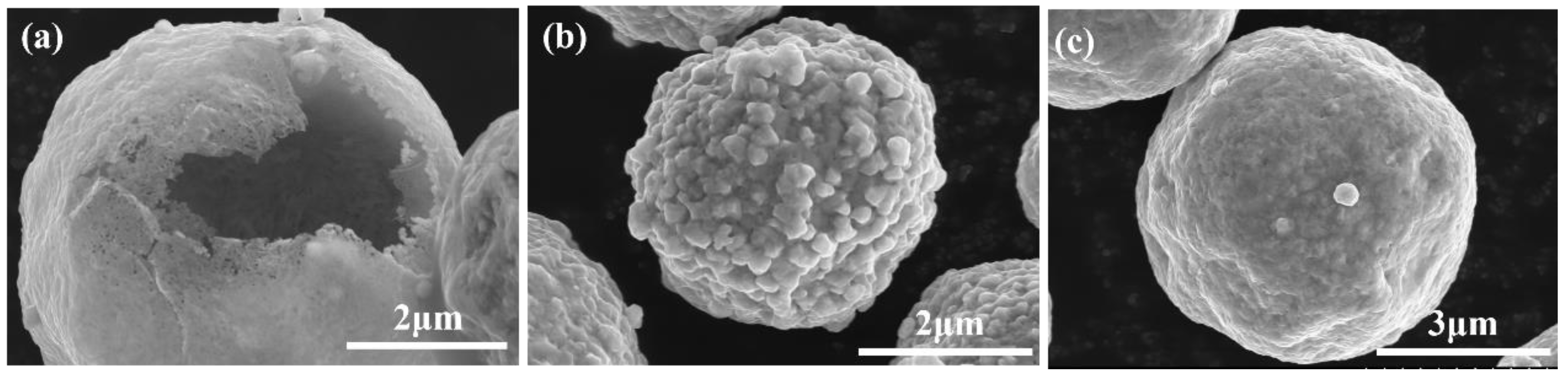 Coatings 15 00154 g014