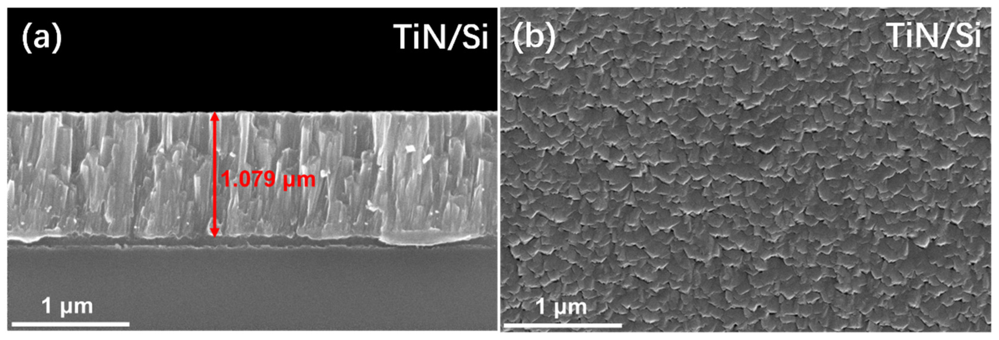 Coatings 15 00155 g002a