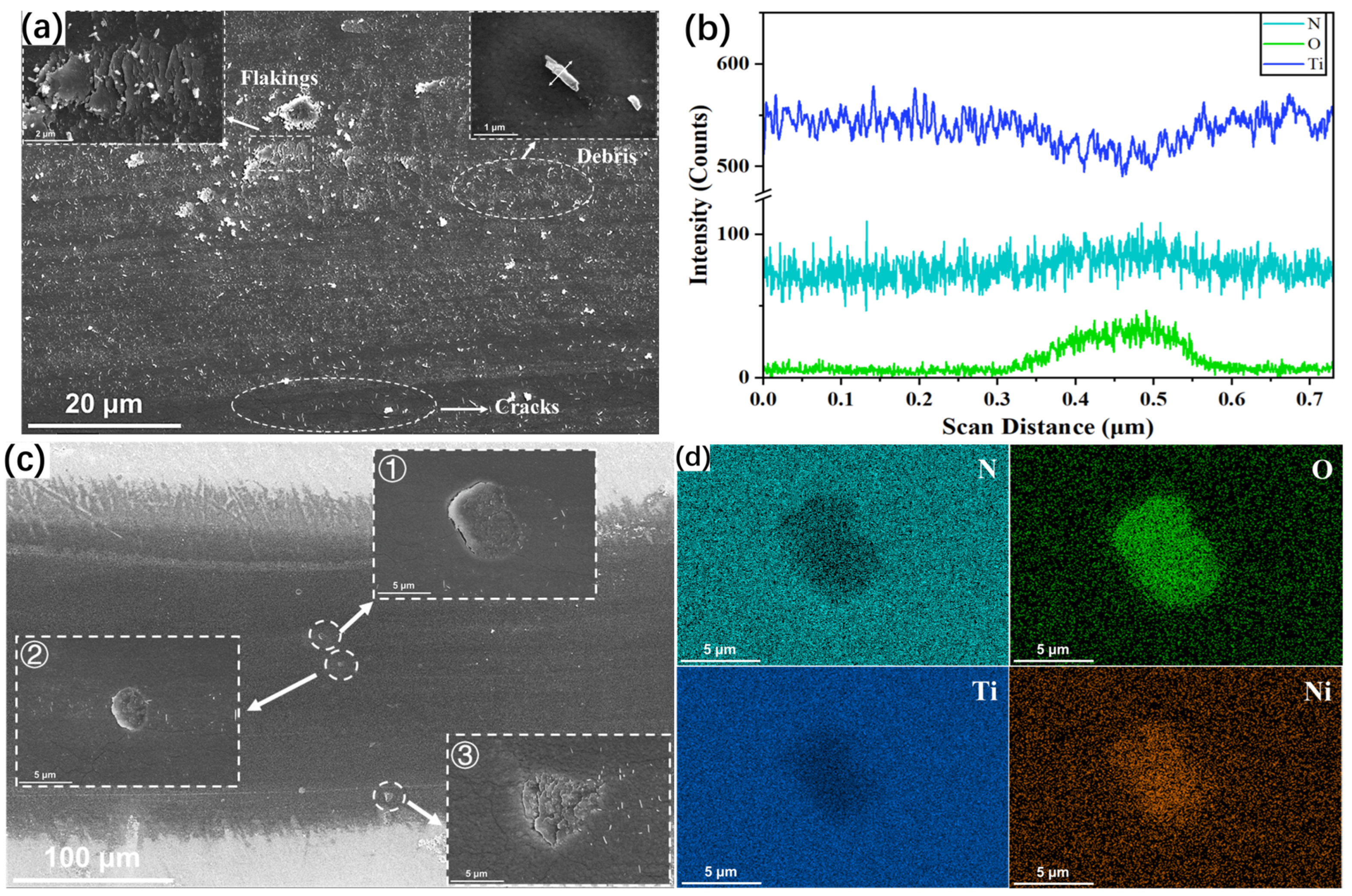Coatings 15 00155 g005