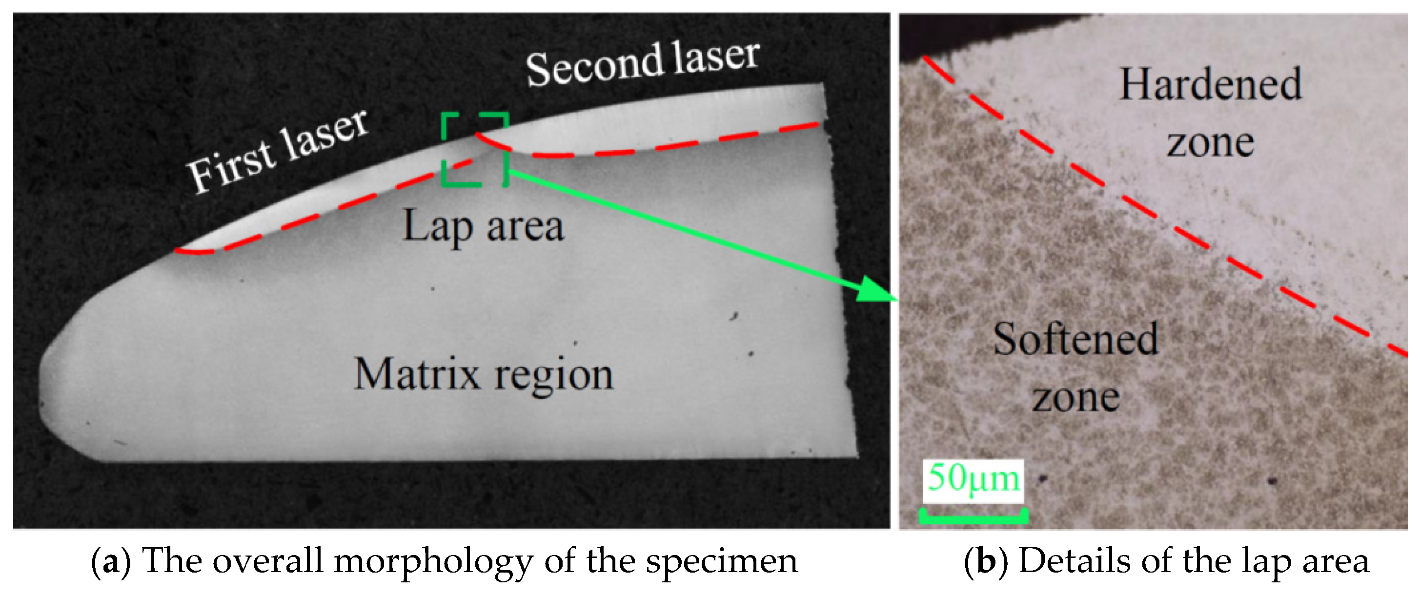 Coatings 15 00158 g003