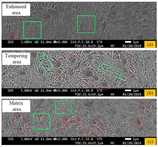 ＪＵＮ Silencing P2X7R Alleviates Diabetic Neuropathic Pain