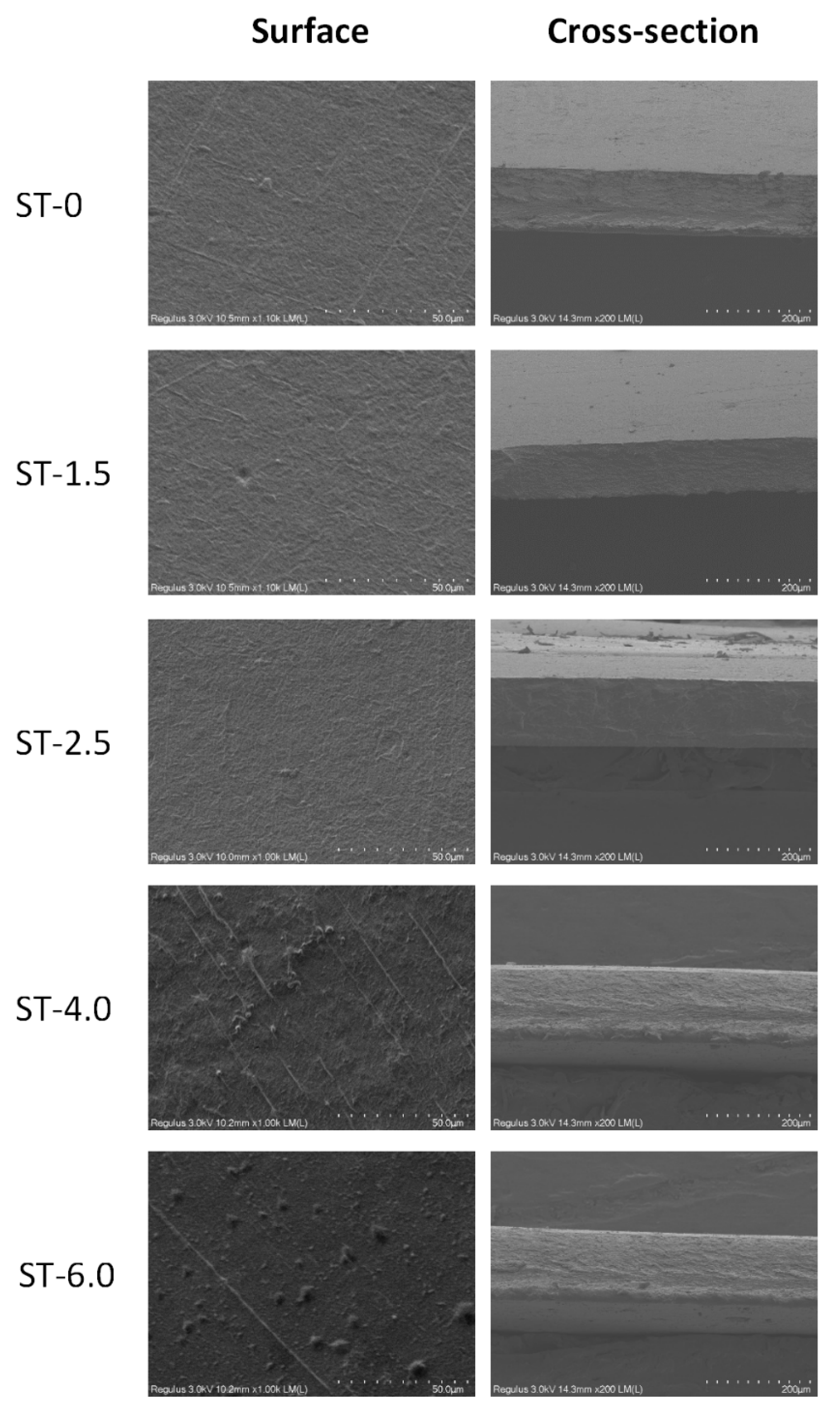Coatings 15 00162 g005
