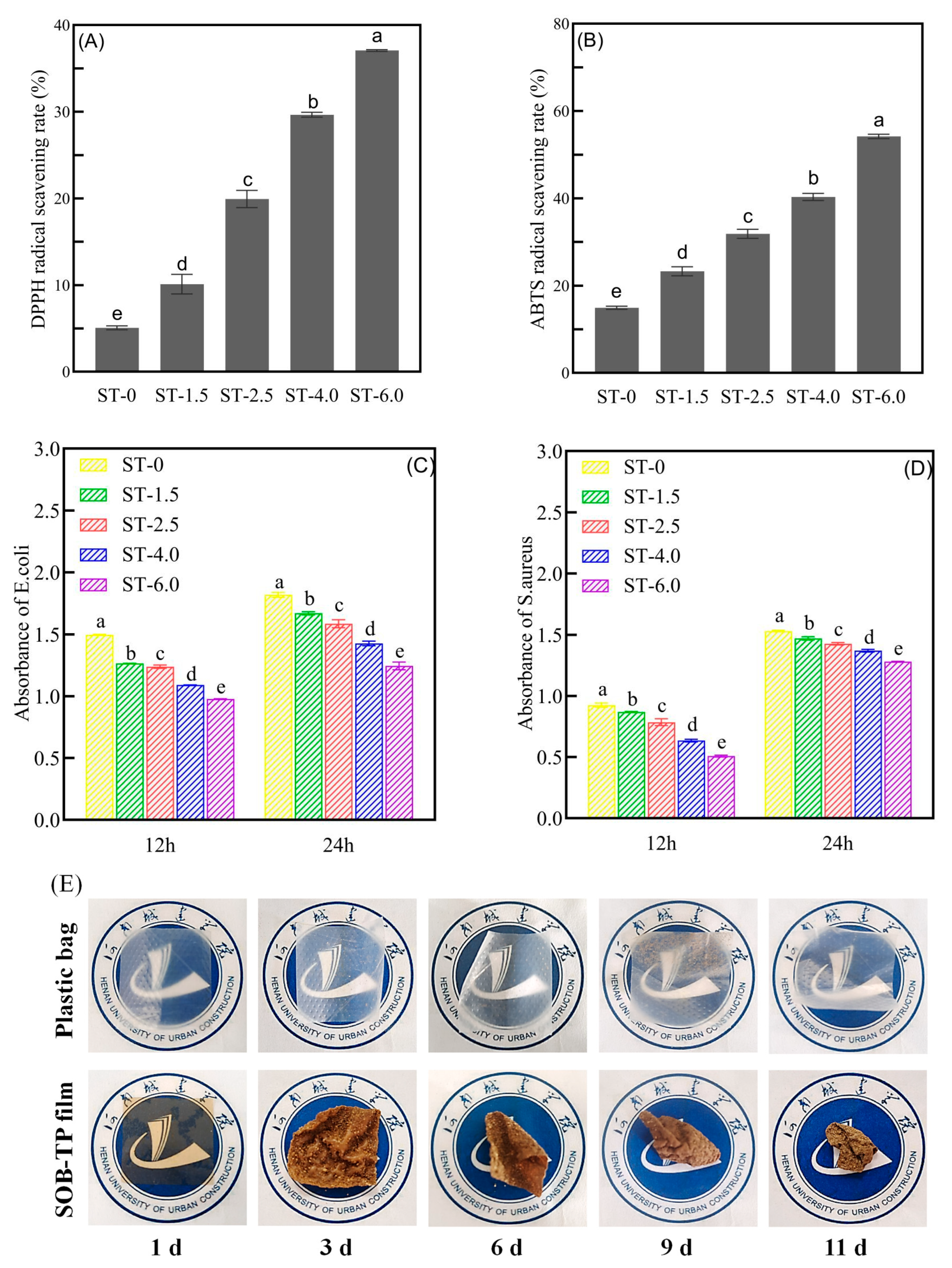 Coatings 15 00162 g006