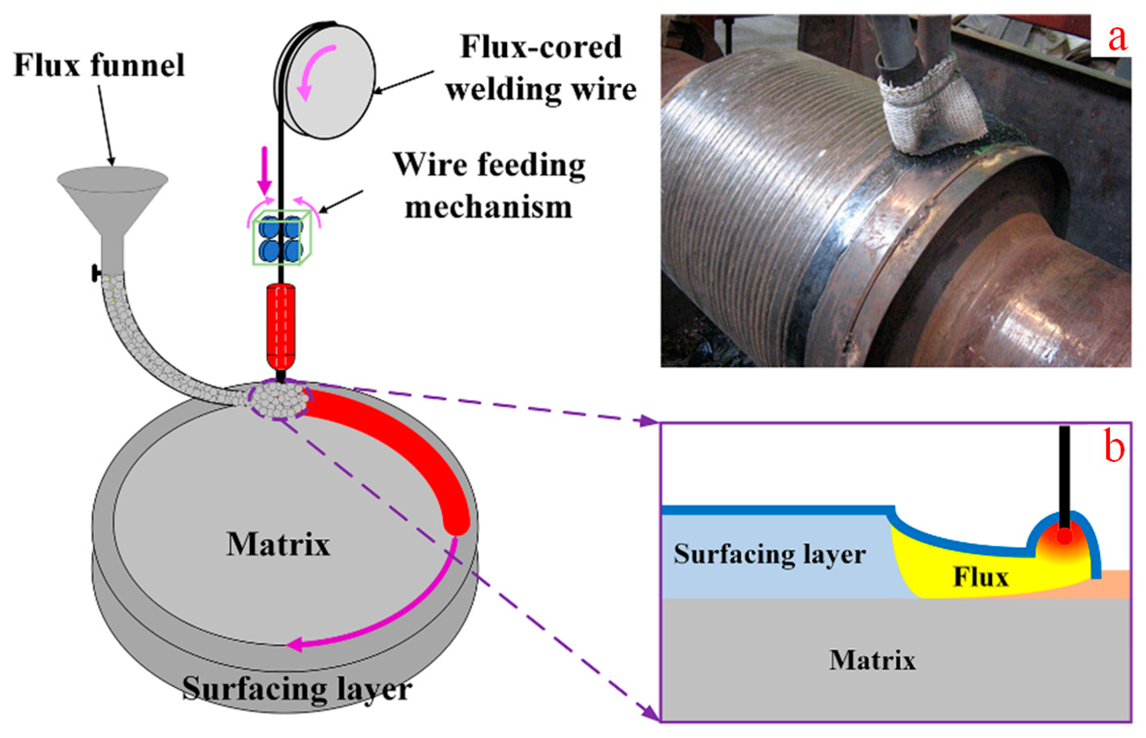 Coatings 15 00167 g001
