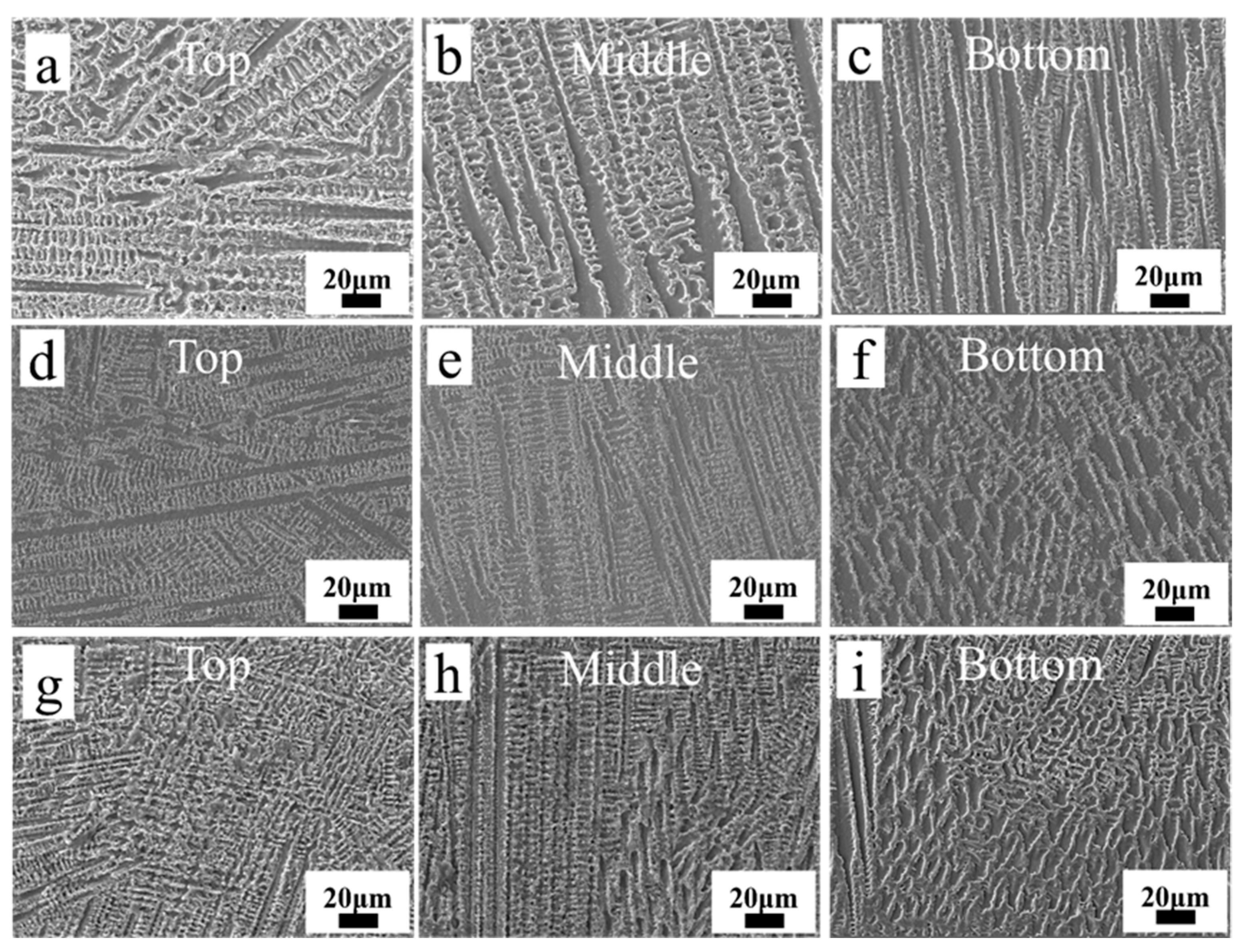 Coatings 15 00171 g007