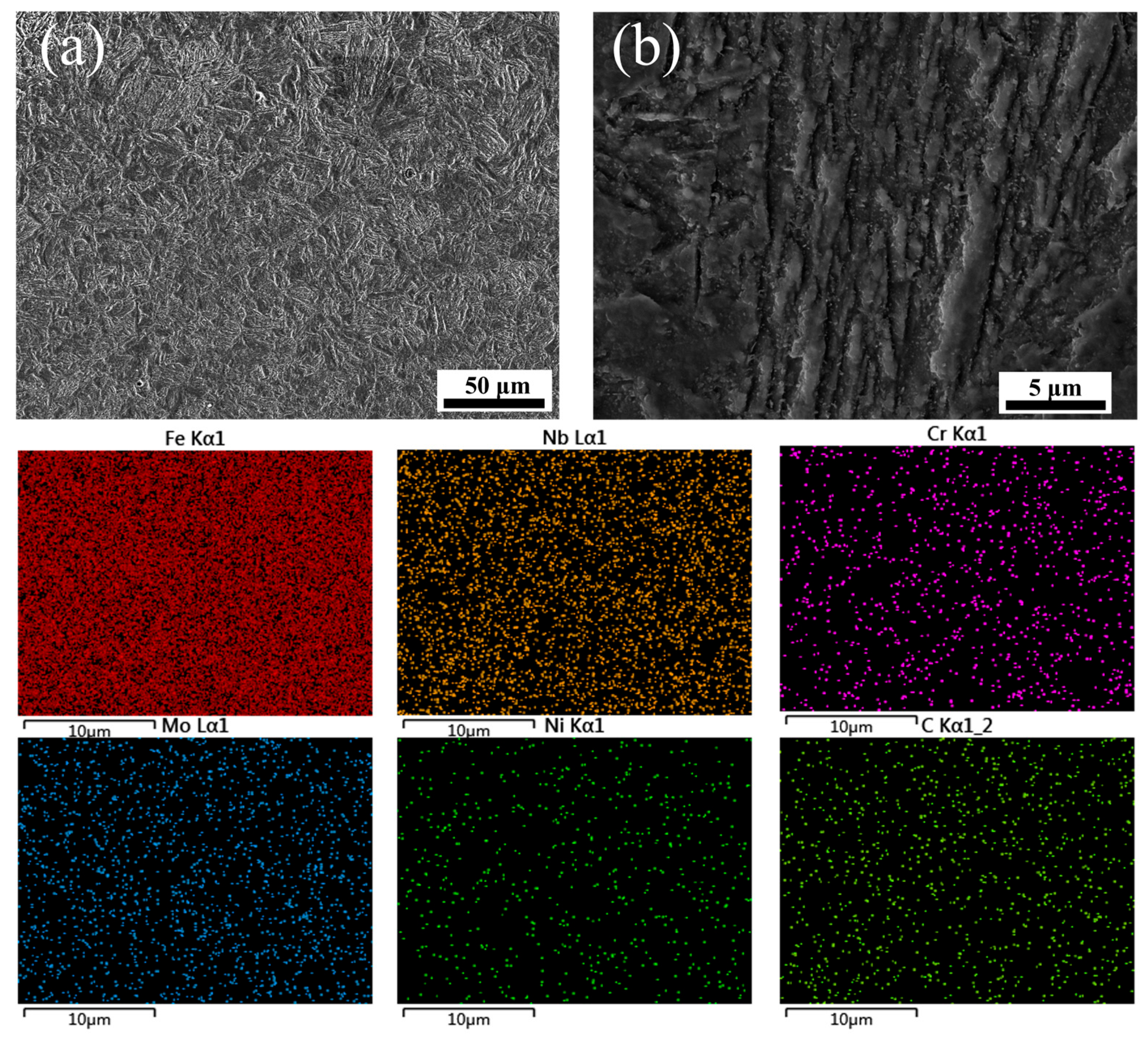 Coatings 15 00171 g013