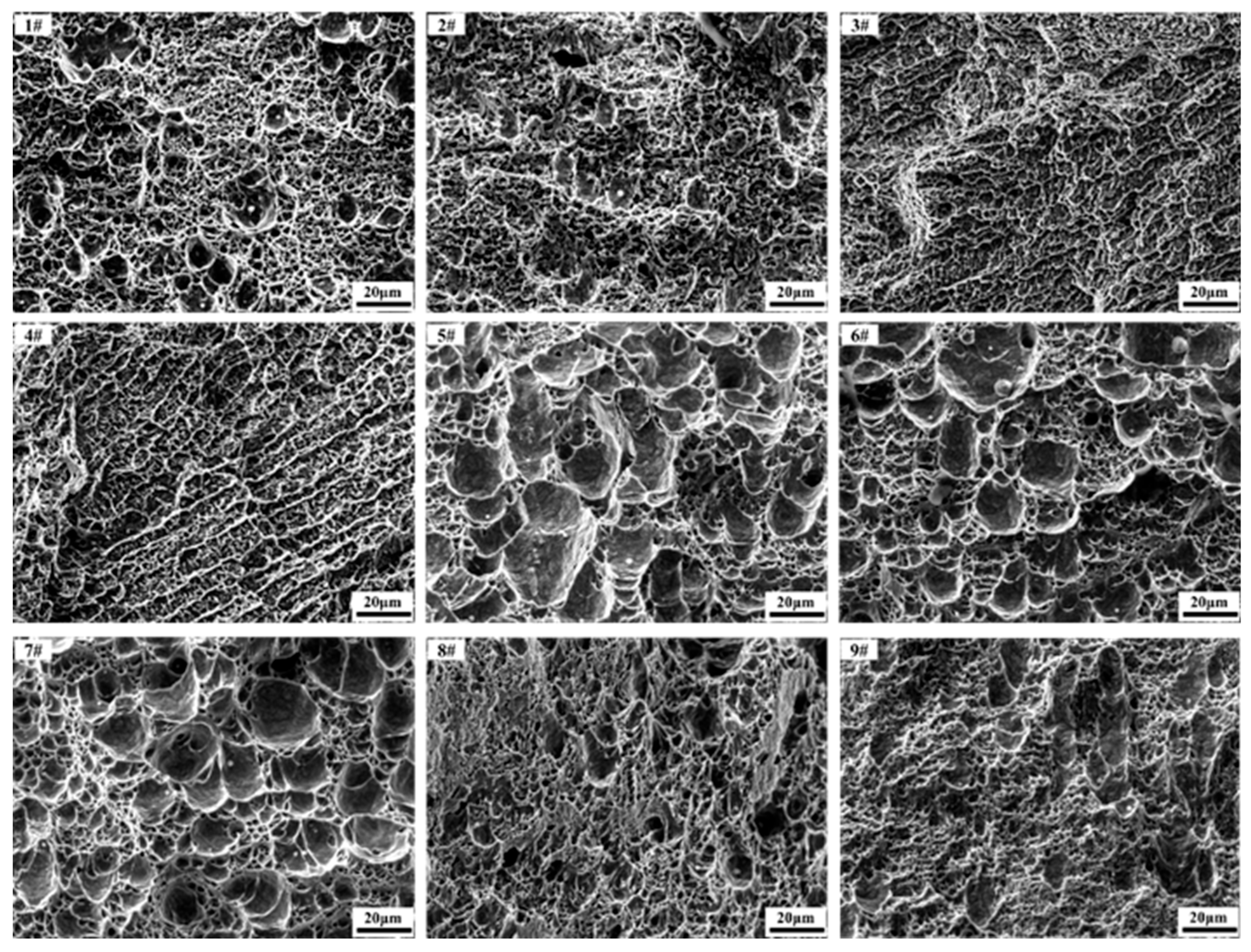 Coatings 15 00171 g014