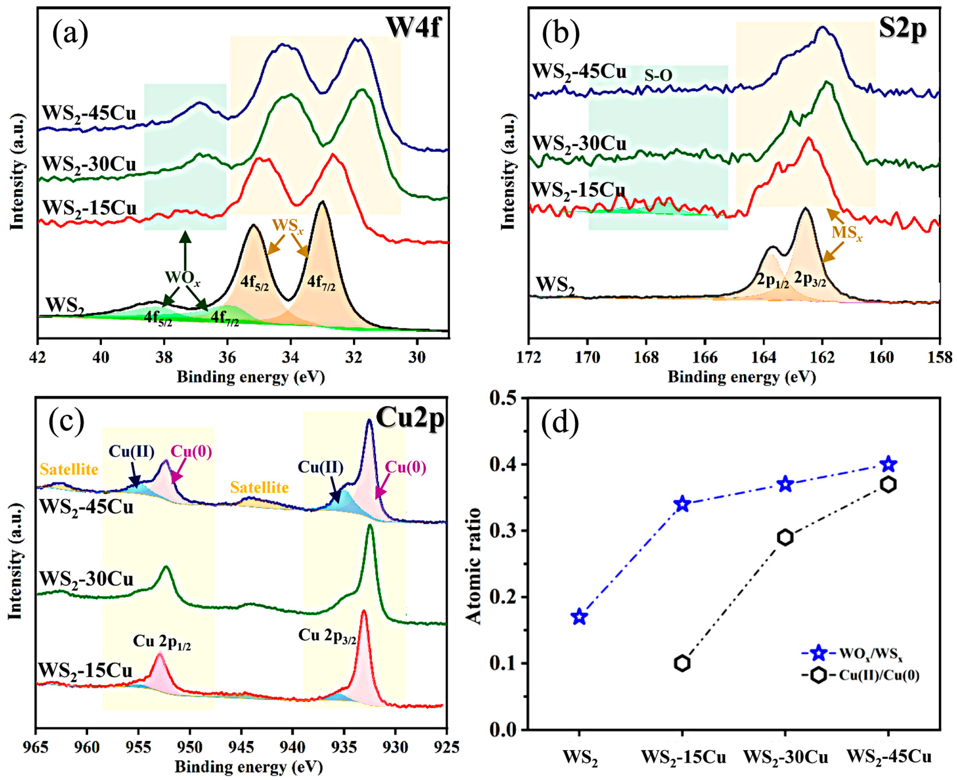 Coatings 15 00173 g005